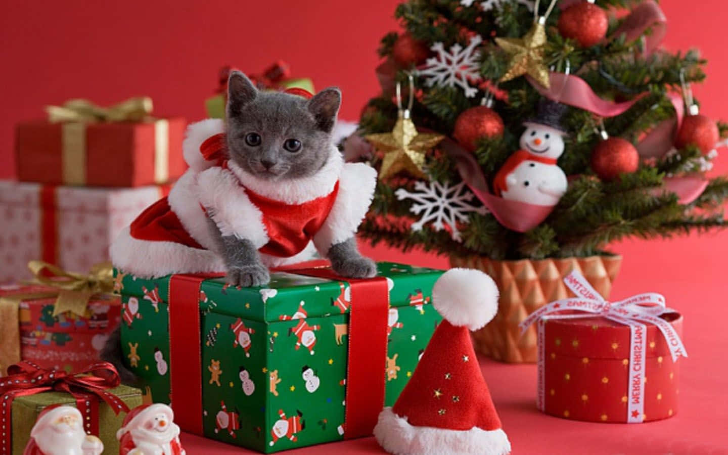 Julen nærmer seg og denne katten er klar Bakgrunner