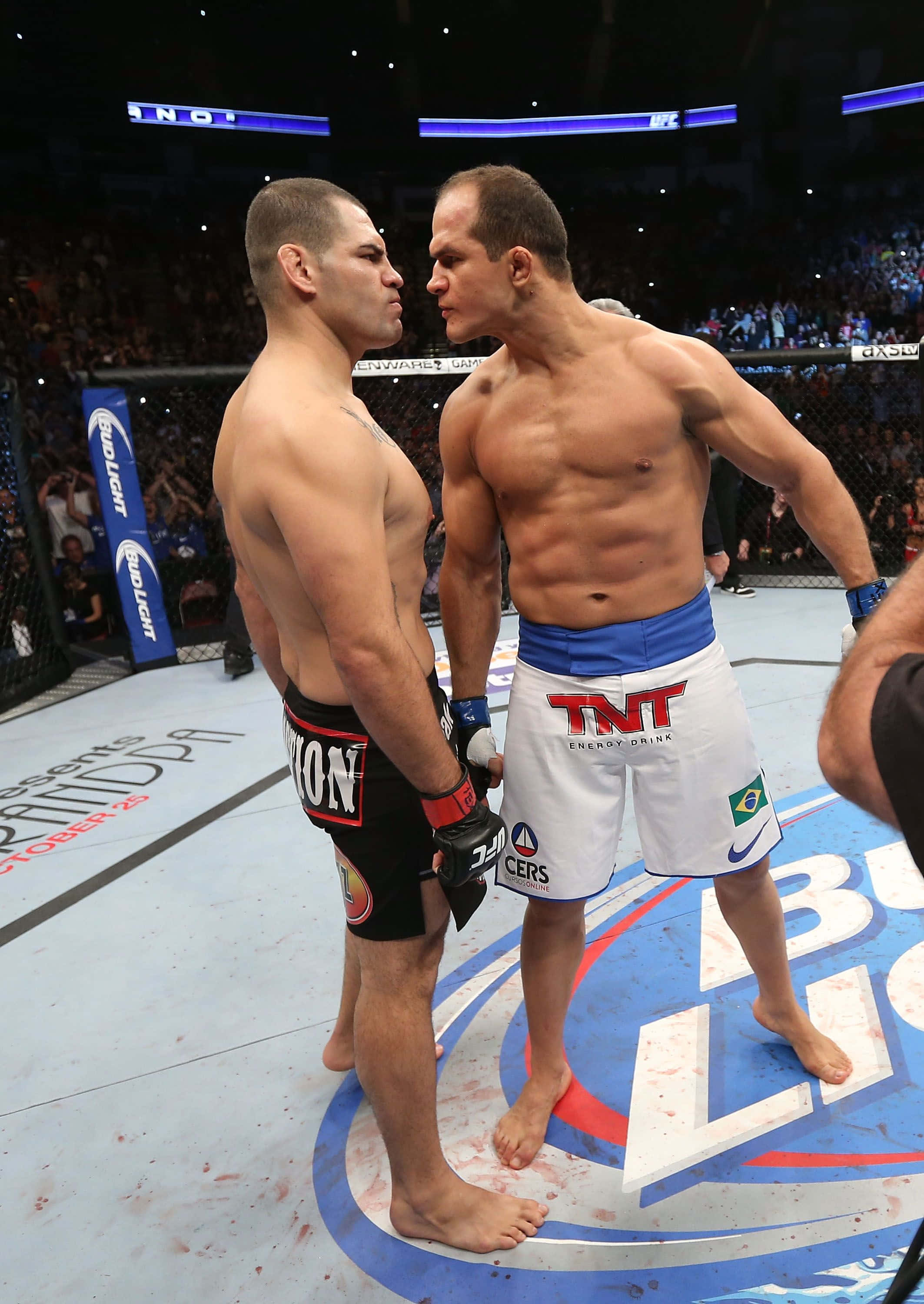 Junior Dos Santos UFC On Fox 1 Bakgrunner