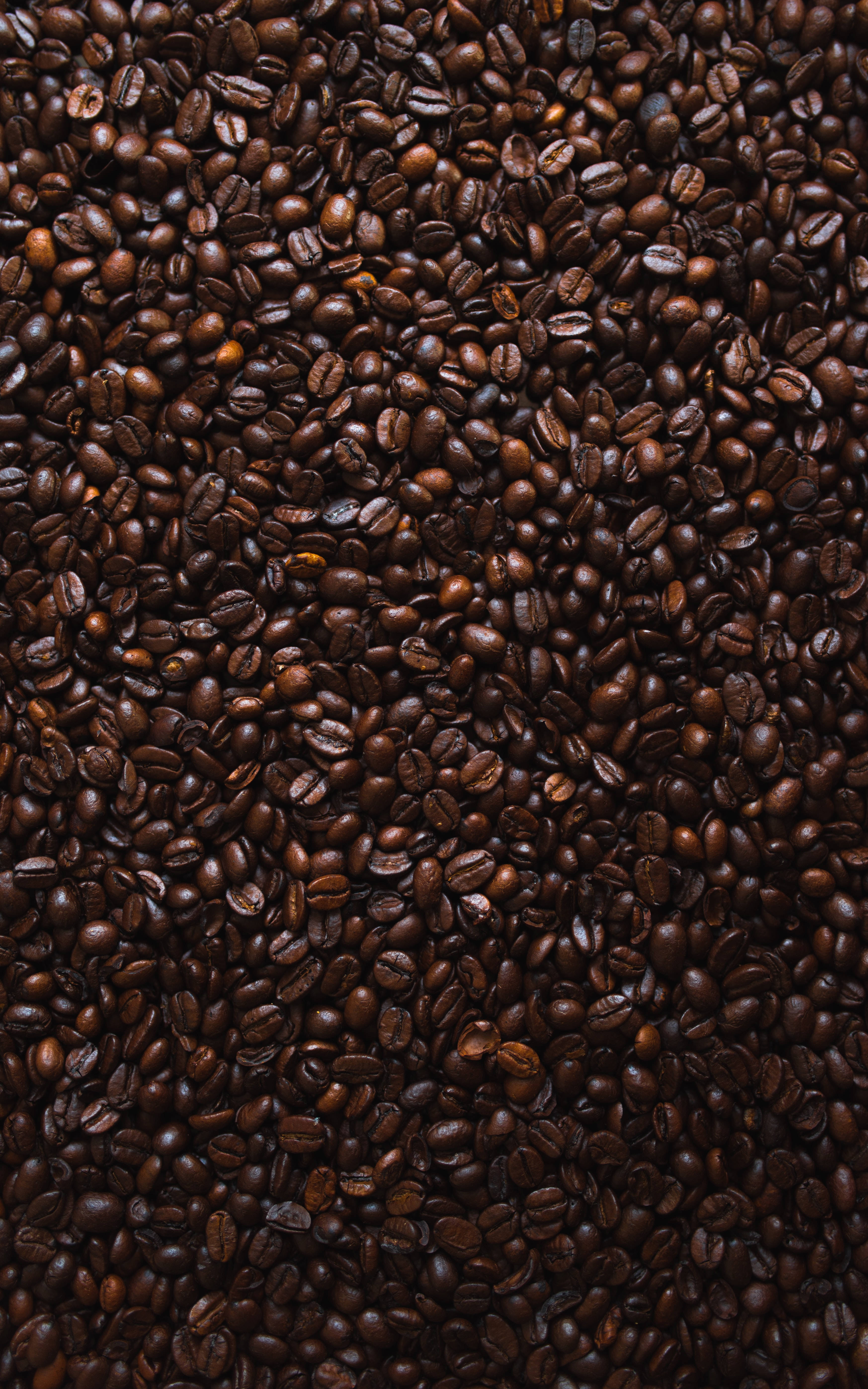 Kaffeestetisk mønster Bakgrunner