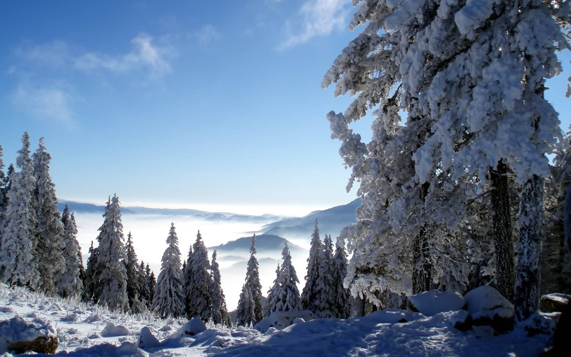 Kaldt fjellandskap Bakgrunner