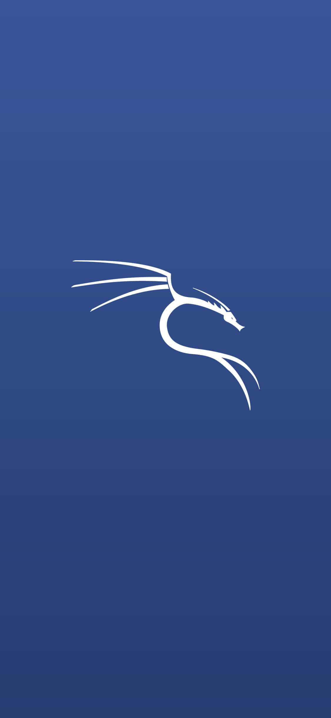 Kali Linux Matrix Miljø Bakgrunner