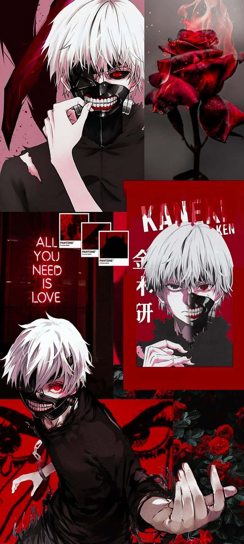 Kaneki Ken kjemper for rettferdighet i Tokyo Ghoul Bakgrunner