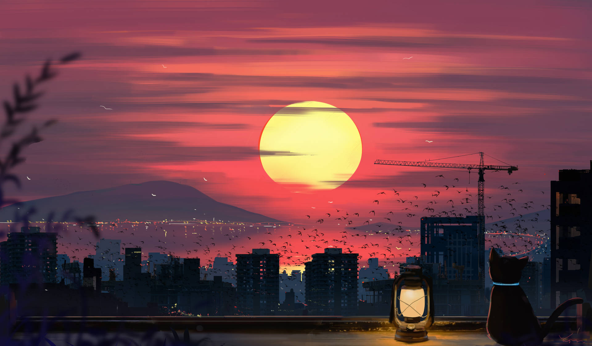 Katt og solnedgang datamaskin låseskjerm