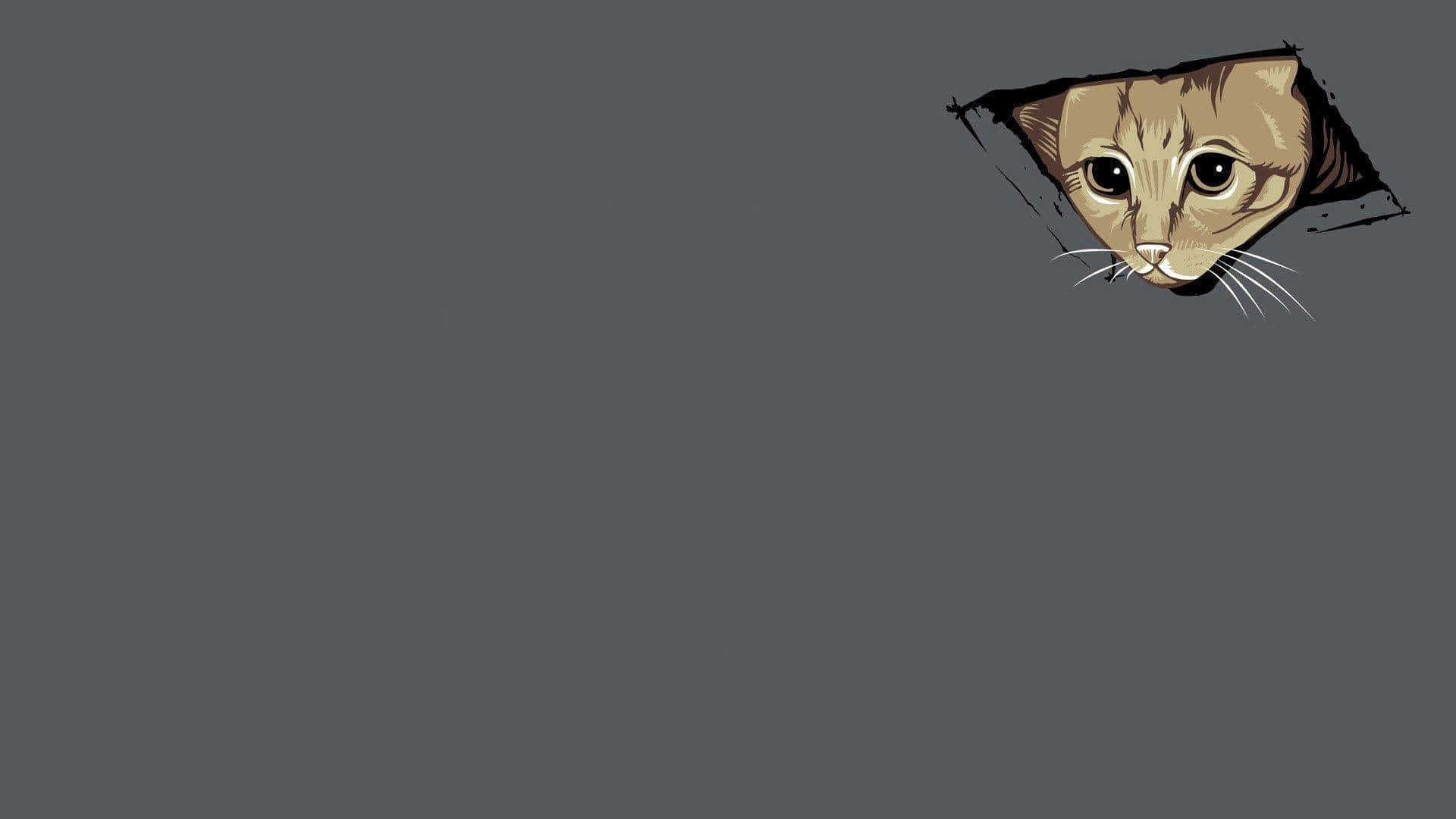 Katt som glor meme-laptop Bakgrunner