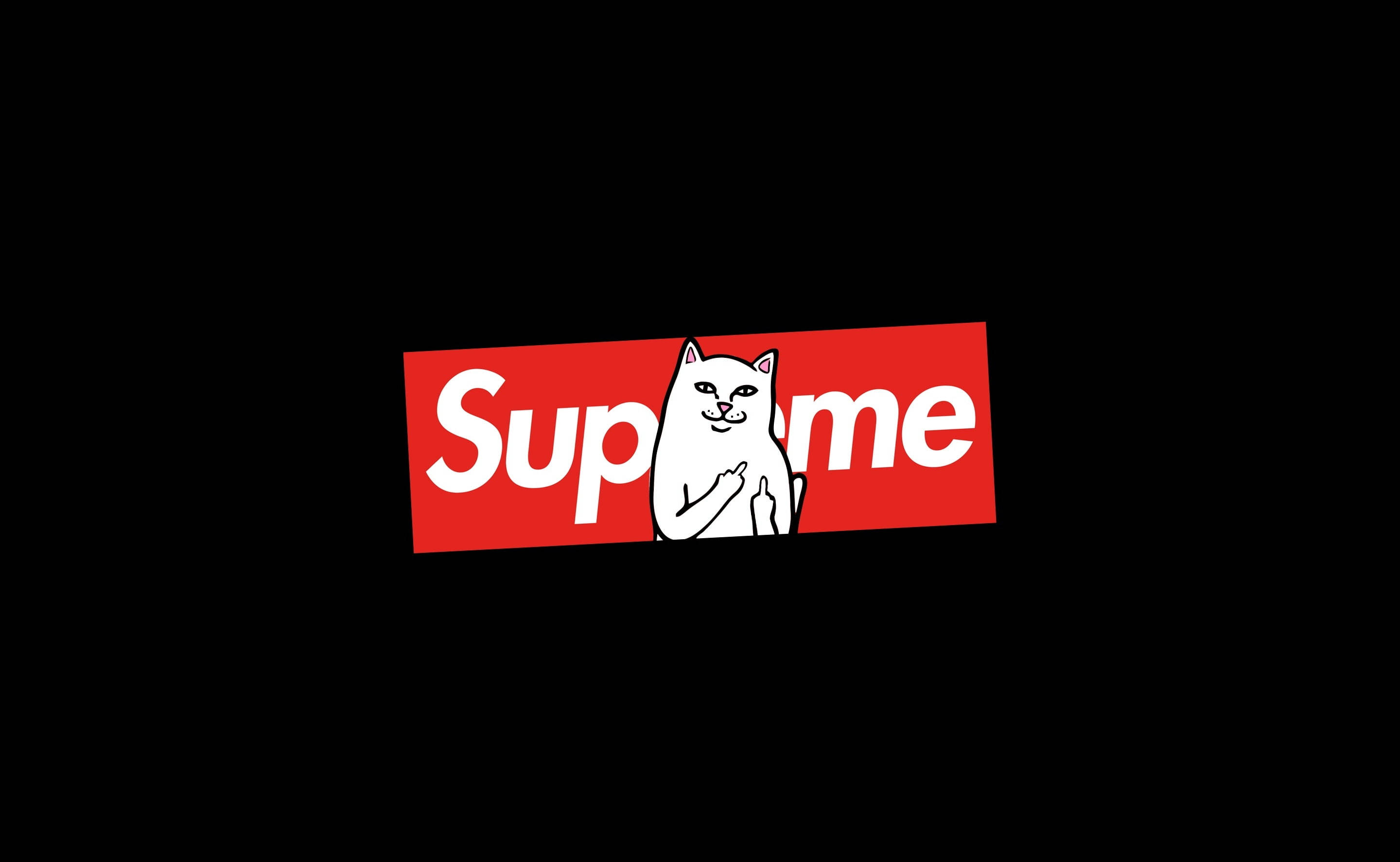 Katt som sitter på Supreme-laptop Bakgrunner