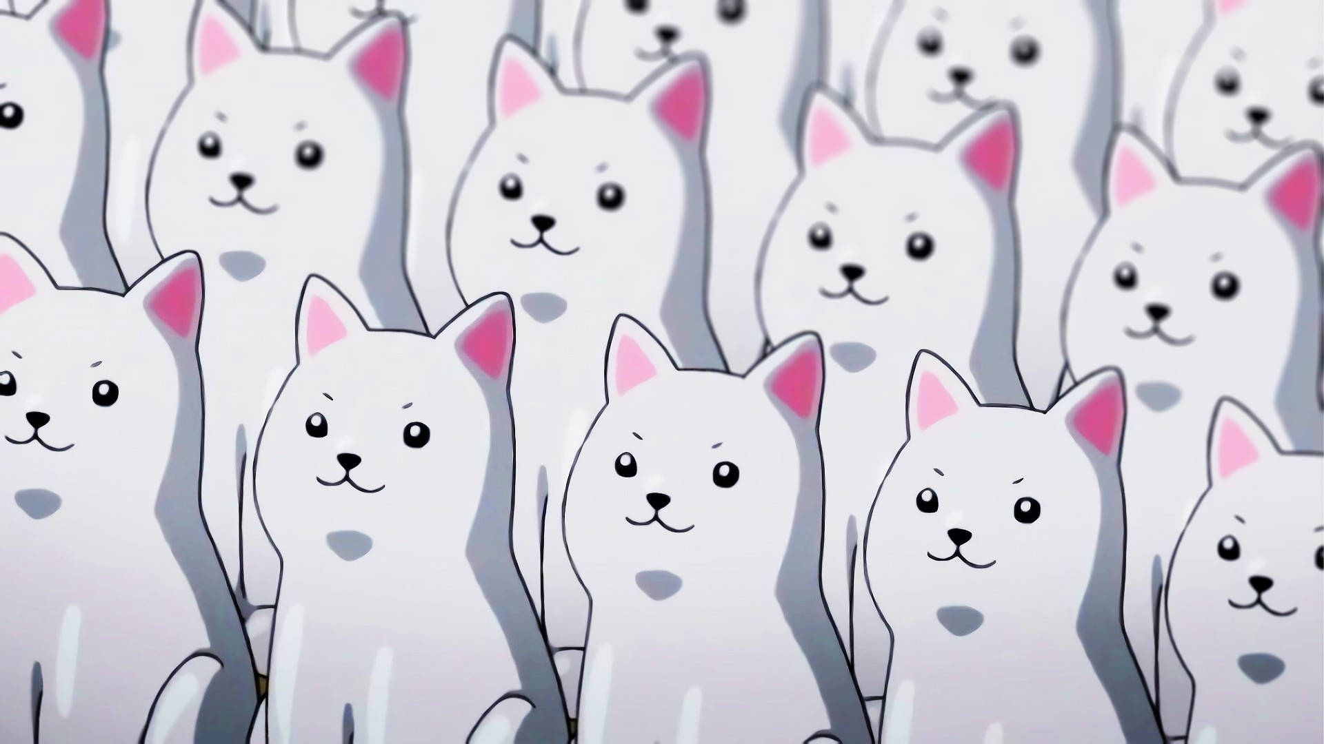 Kawaii HD hvite hunder Bakgrunner