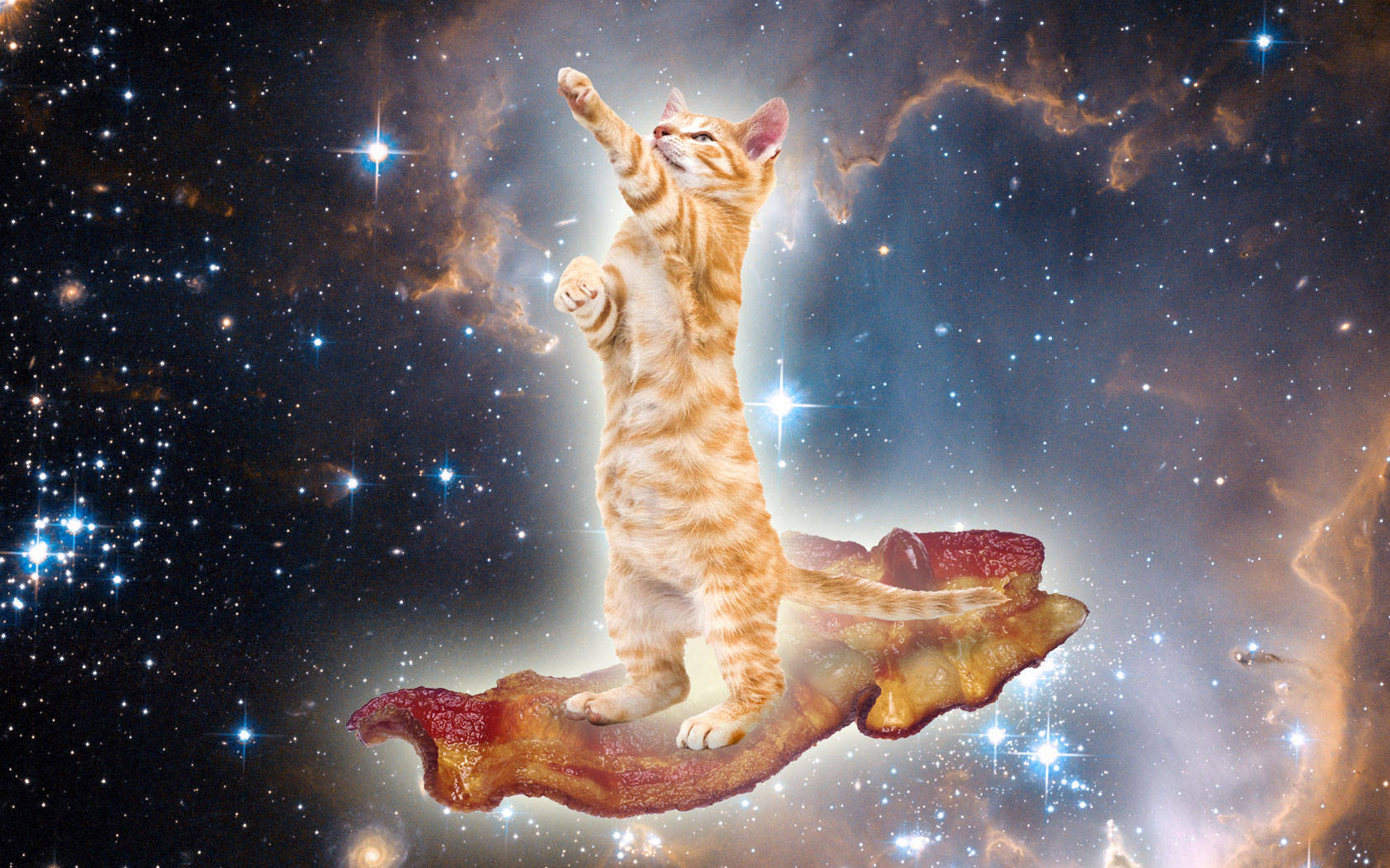 Kawaii katt på galakse Bakgrunner
