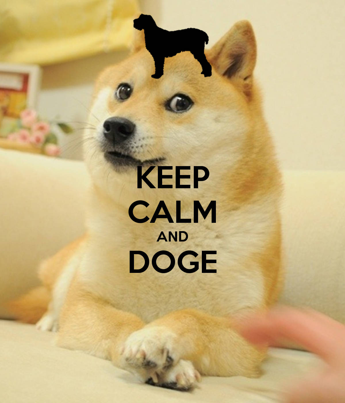 Keep Calm and Doge On! Bakgrunner