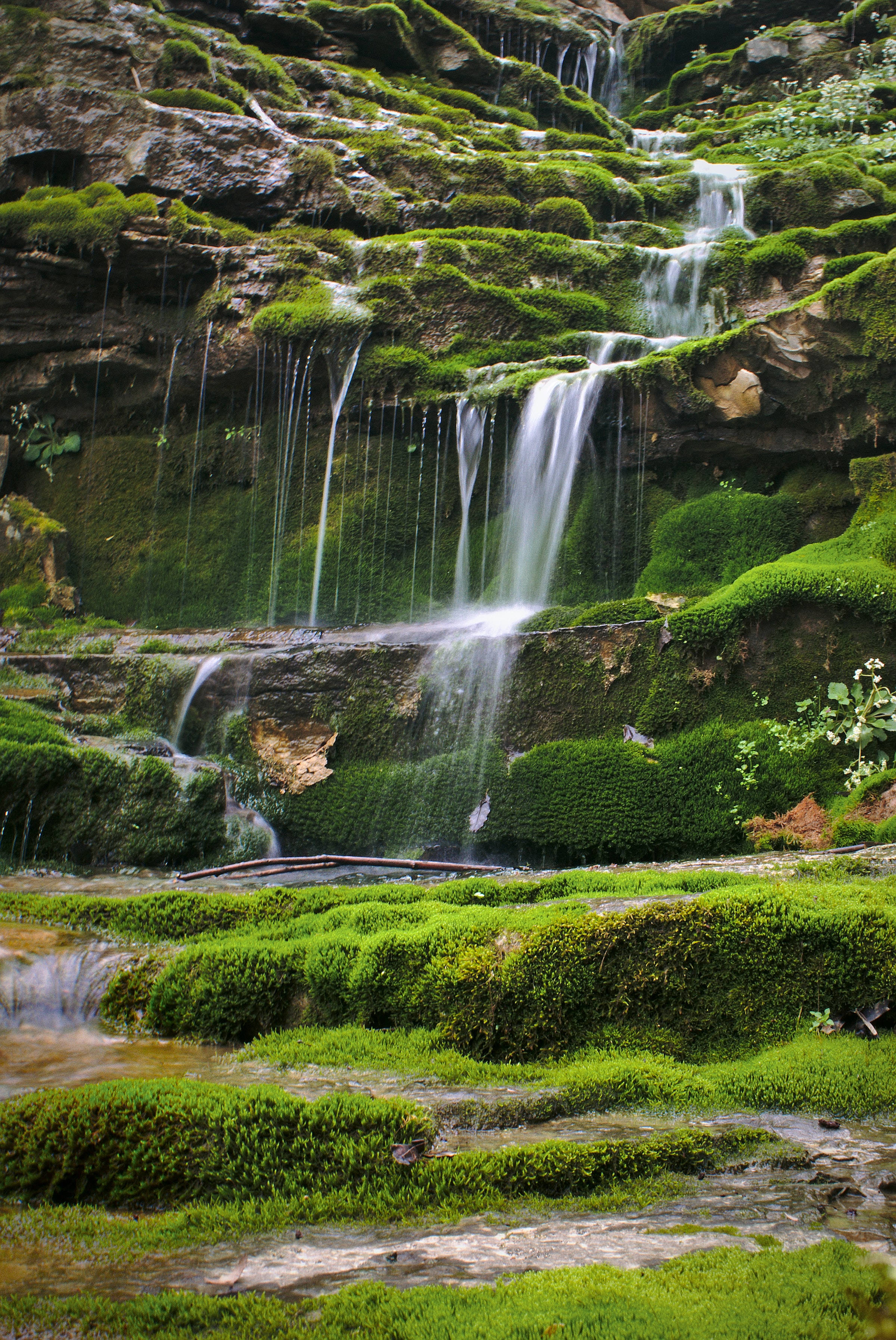Kentucky Naturlandskap Bakgrunner