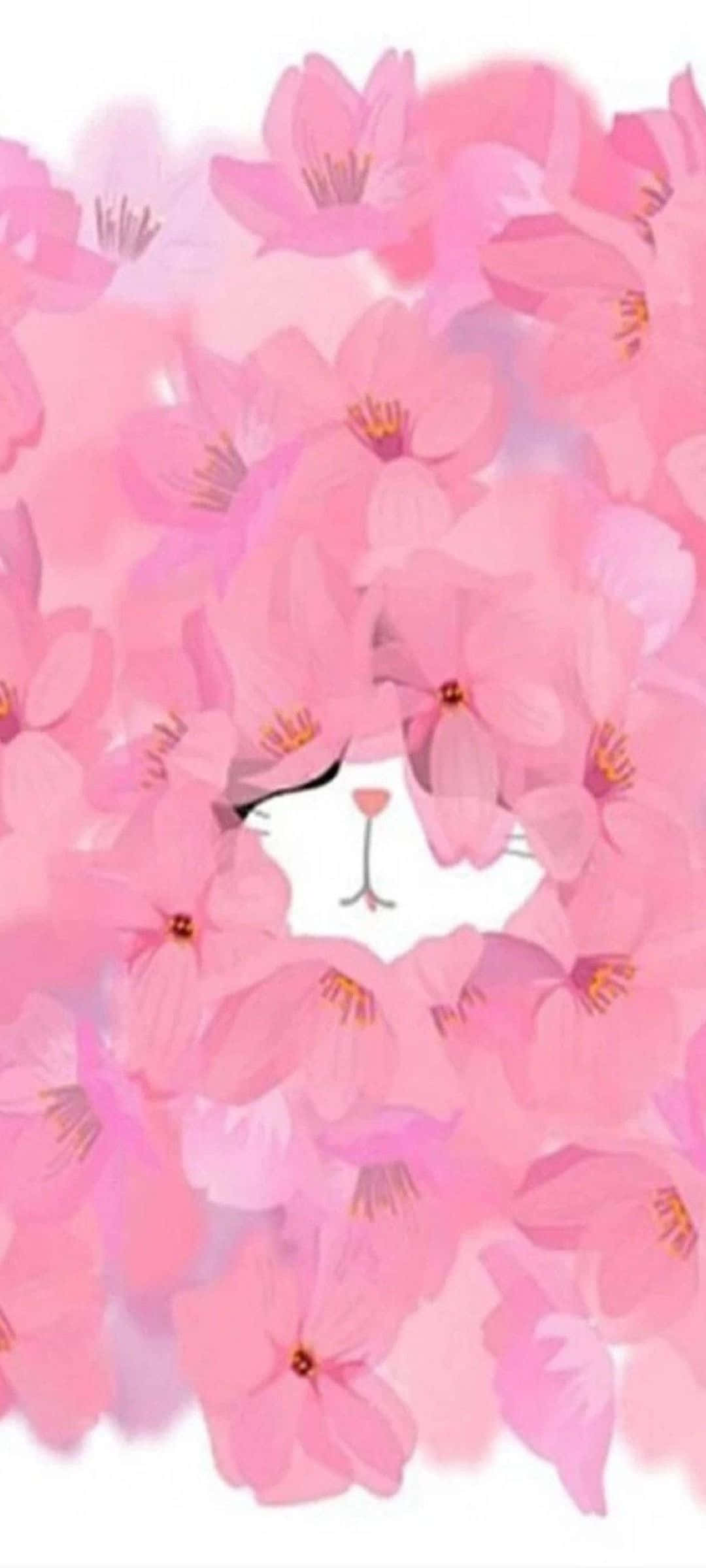 Kirsebærblomst Katt Kamuflasje Bakgrunner