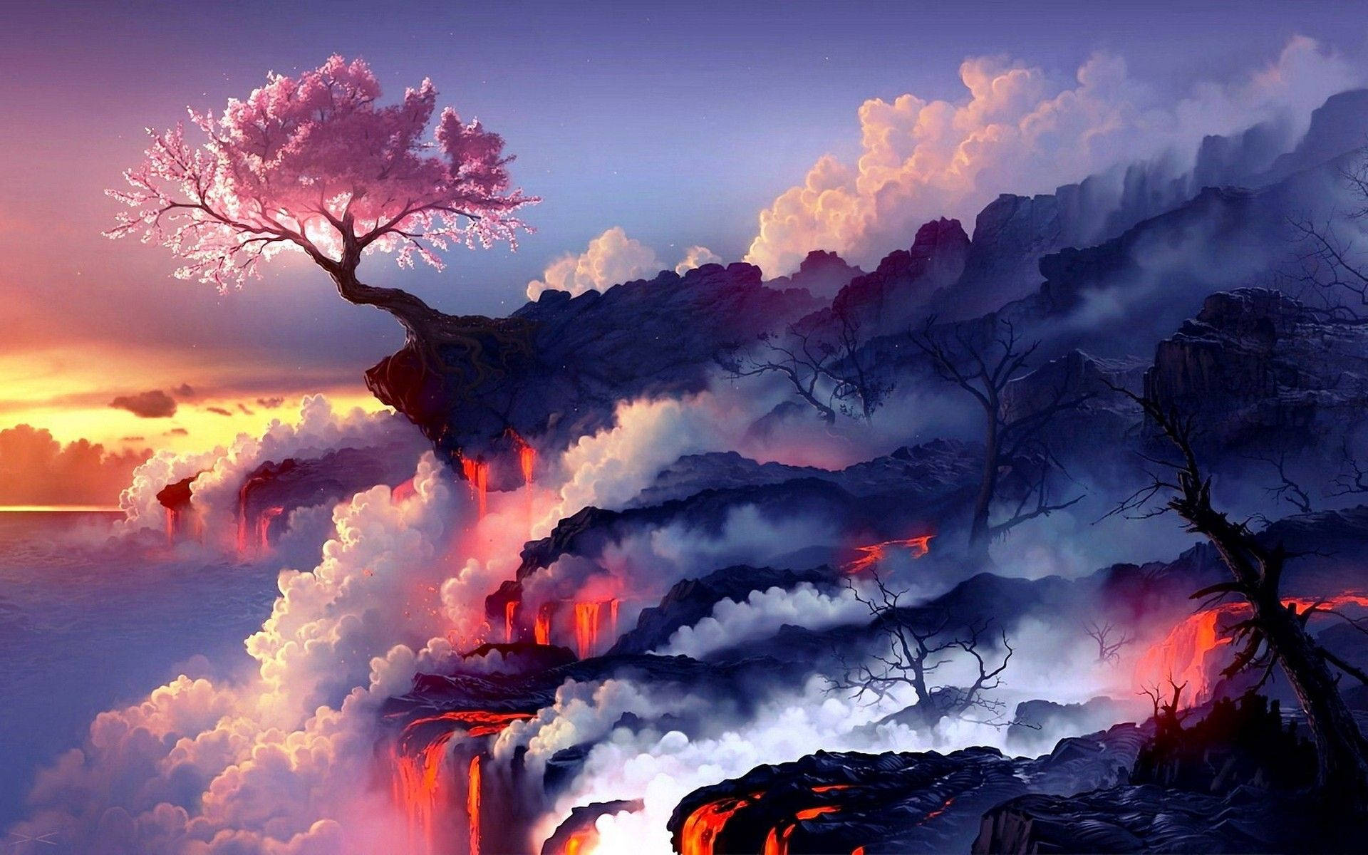 Kirsebærblomst Anime Kunst Bakgrunner