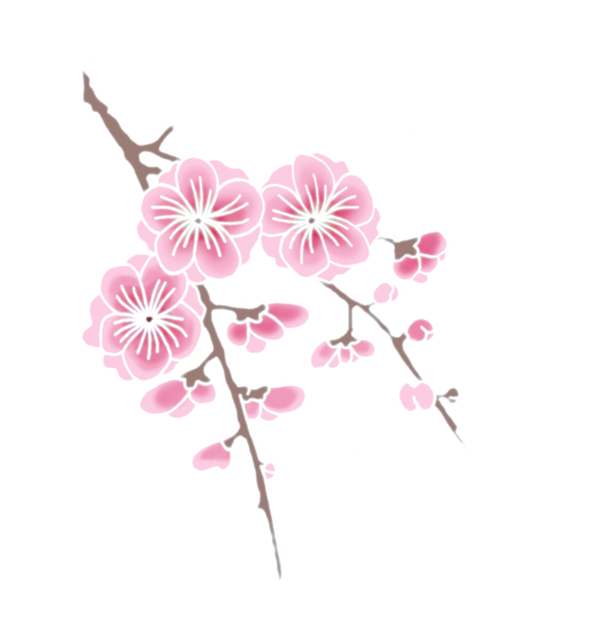 Kirsebærblomster på gren Bakgrunner