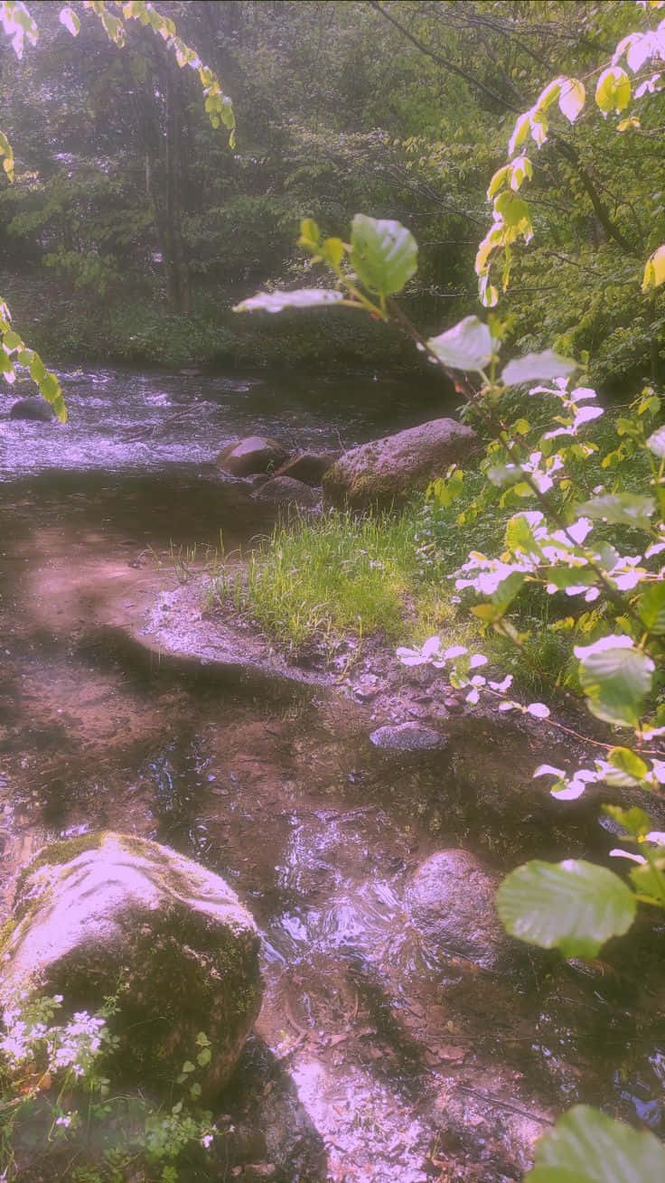 Kjenn magien i luften med denne vakre Fairy Aesthetic-bakgrunnen! Bakgrunner