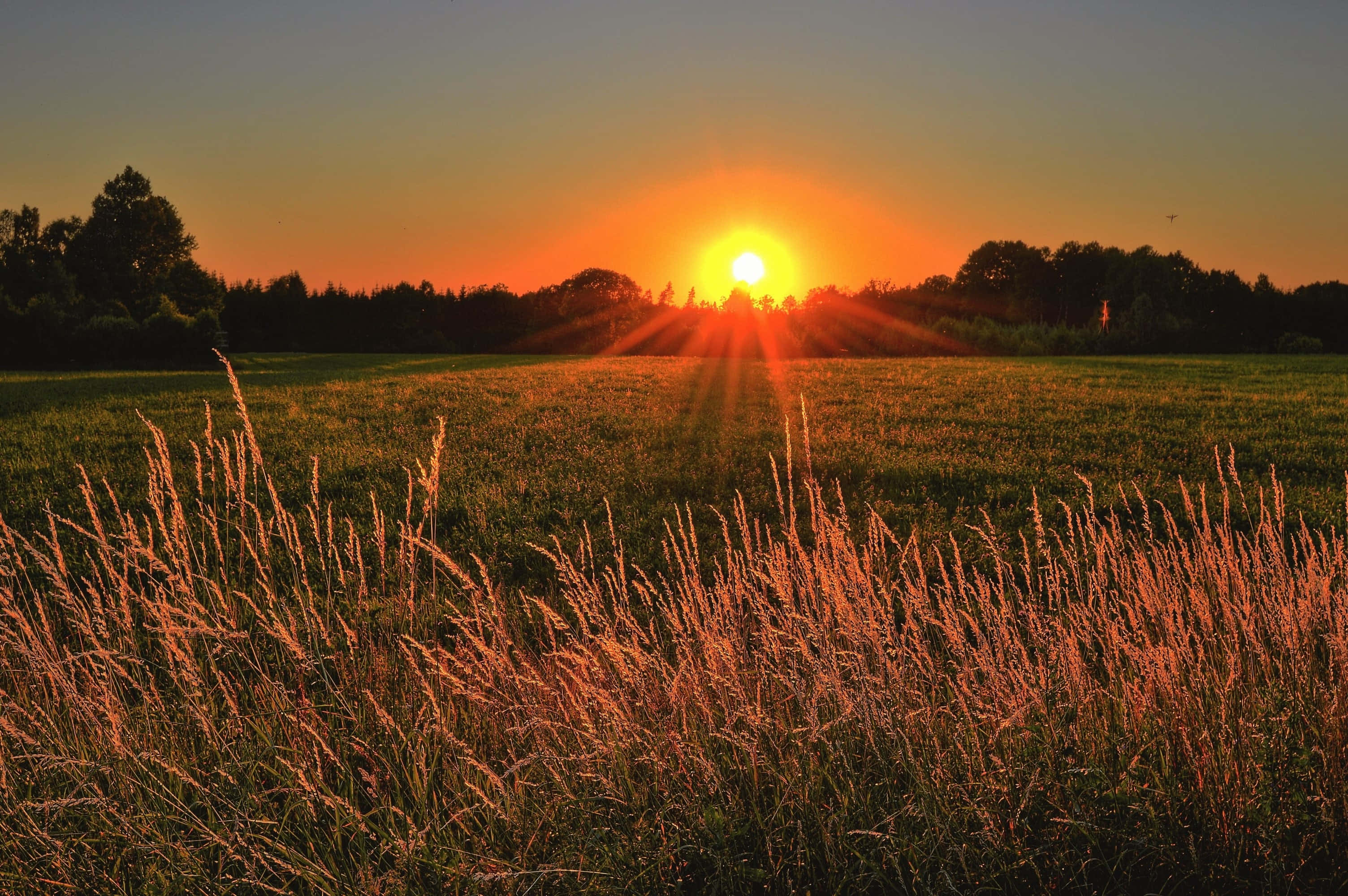 Kjenn varmen fra solen mens du beundrer en vakker solnedgang. Bakgrunner