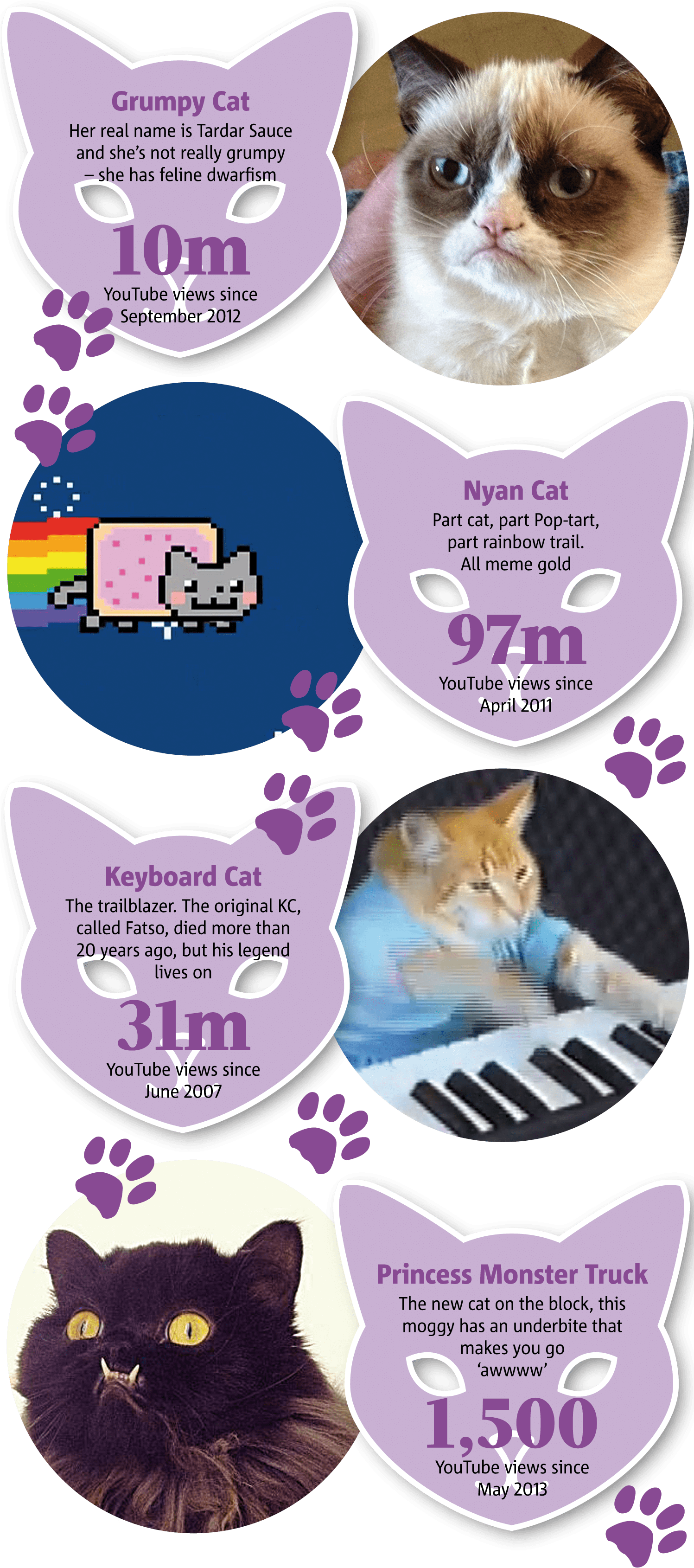 Kjente internetkatter meme-infografikk Bakgrunner