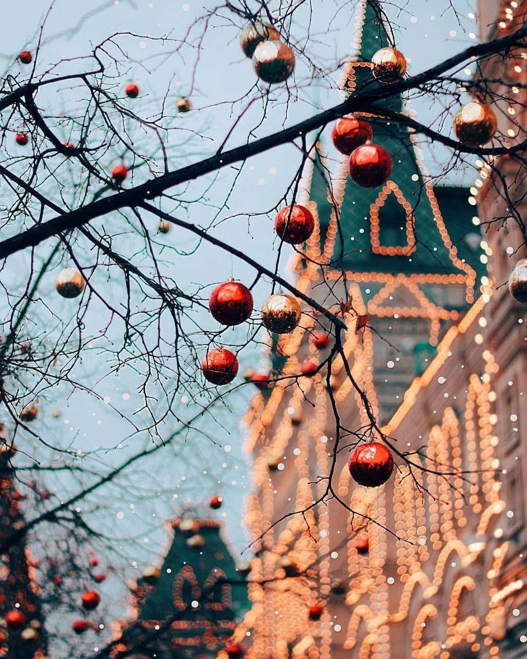 Kom i julestemning med vakre vinterdekorasjoner i høytiden! Bakgrunner