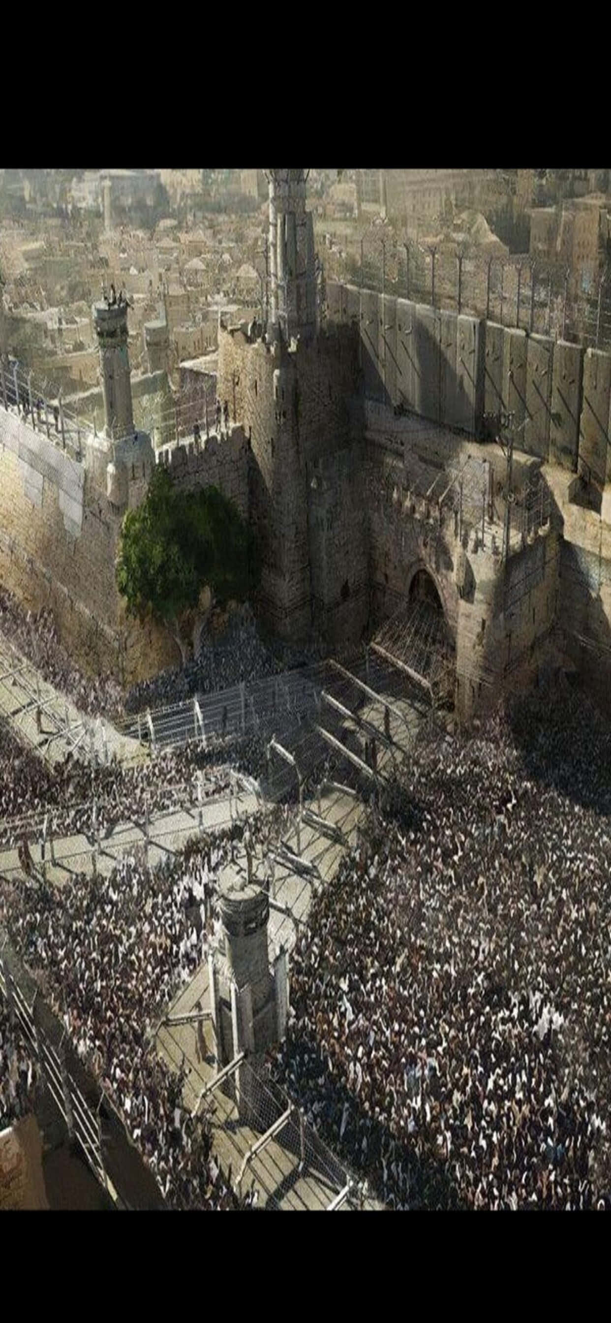 Konseptkunst iPhone XS Max World War Z-bakgrunn Bakgrunner