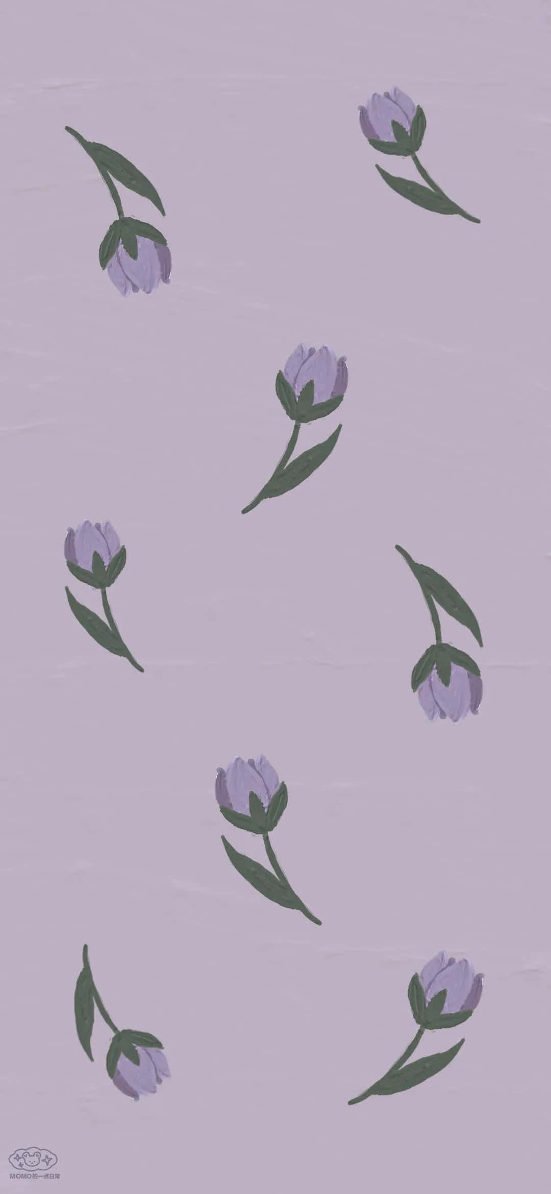 Konsise lilla blomster Bakgrunner