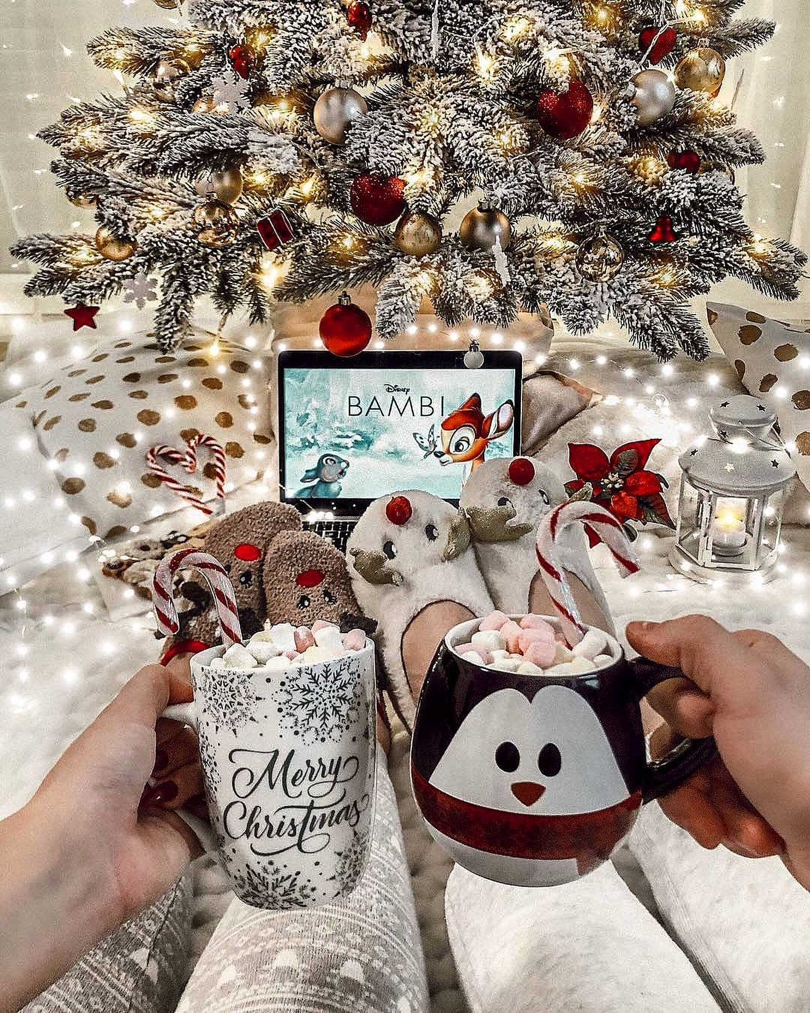 Koselig julestemning med reinsdyrsokker Bakgrunner