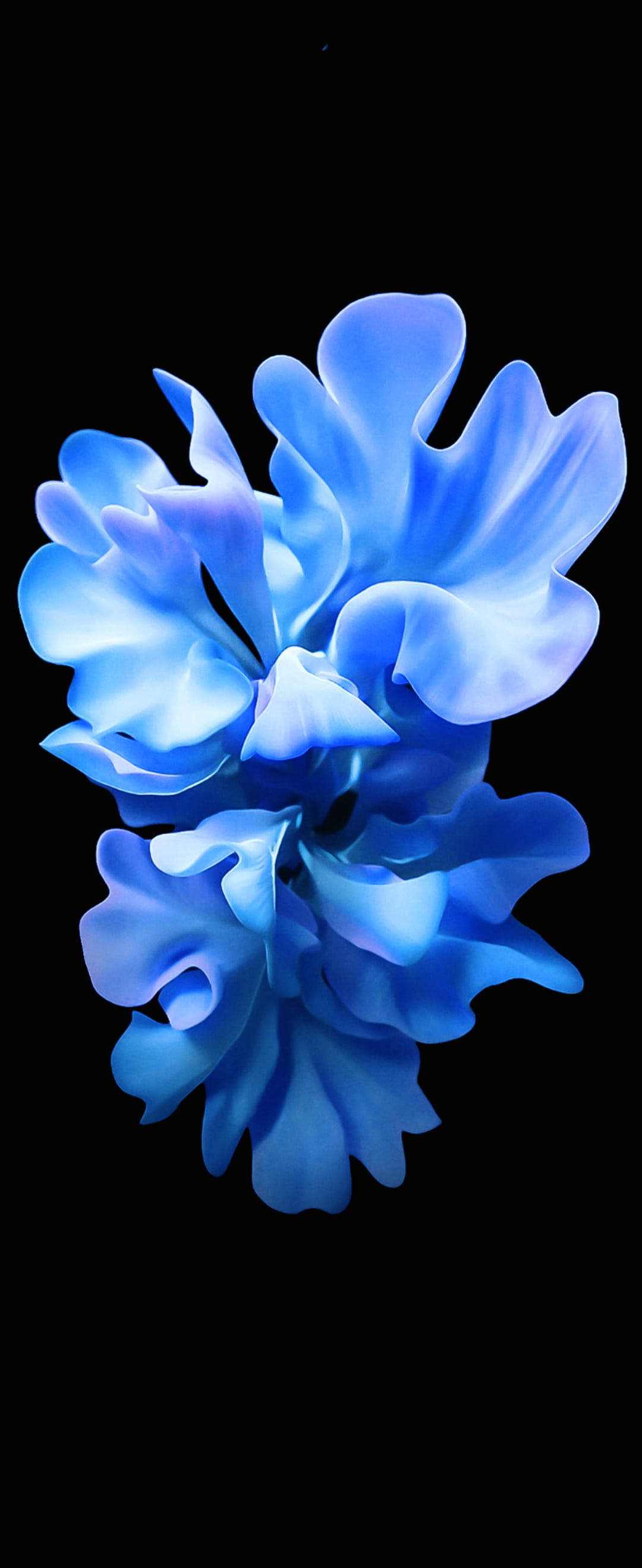 Krystallblå blomst for Samsung S20 FE Bakgrunner