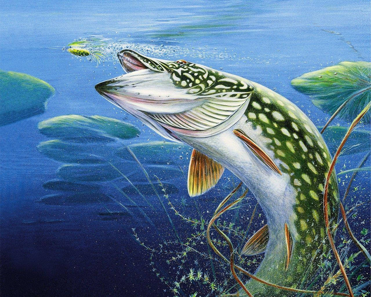 Kul fiskemaleri Bakgrunner
