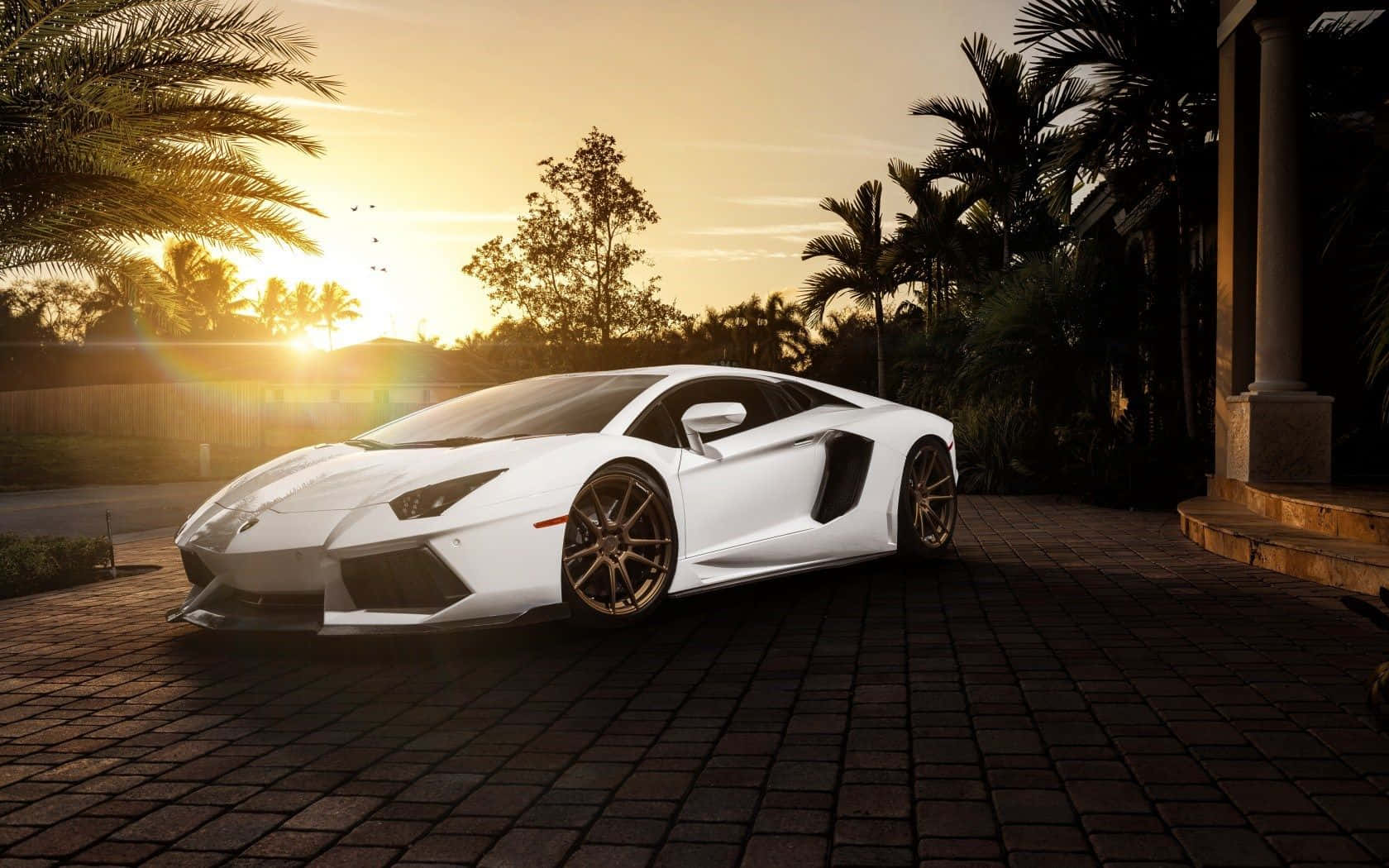 Kul hvit Lamborghini Aventador ved solnedgang Bakgrunner