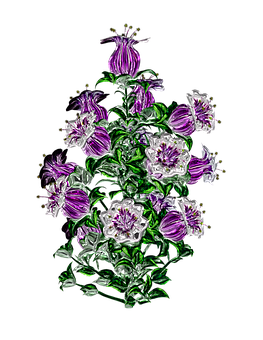 Kunstverk med livlige lilla blomster