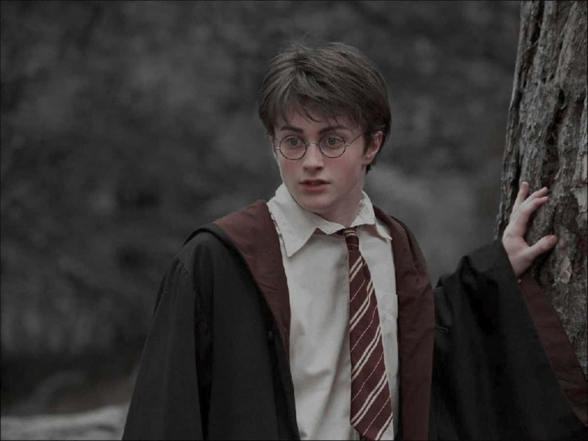 La fantasien vandre gjennom den magiske verdenen til Harry Potter. Bakgrunner