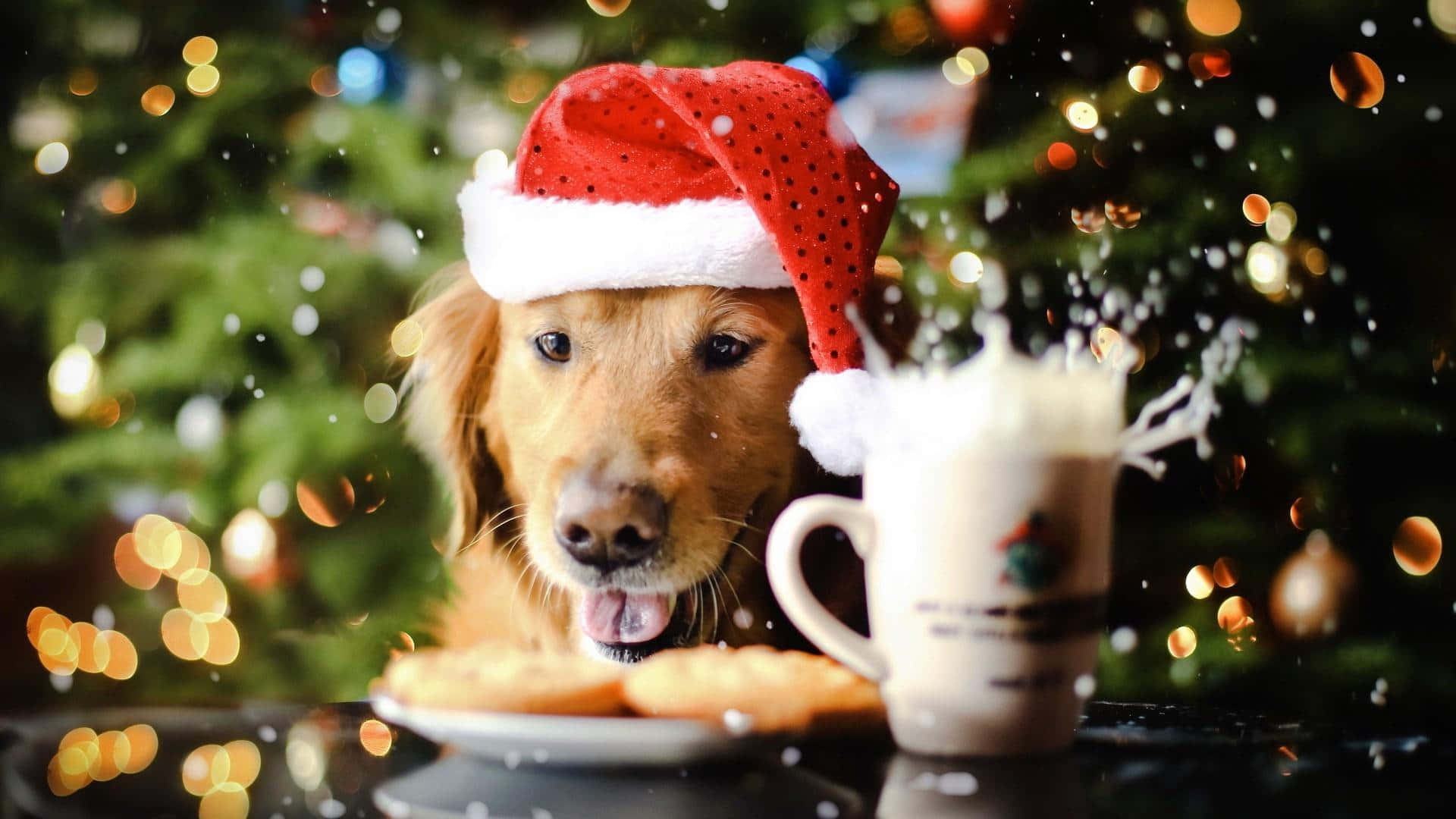 La julesesongen vaske bort bekymringene dine og bringe gledelige nyheter! Bakgrunner