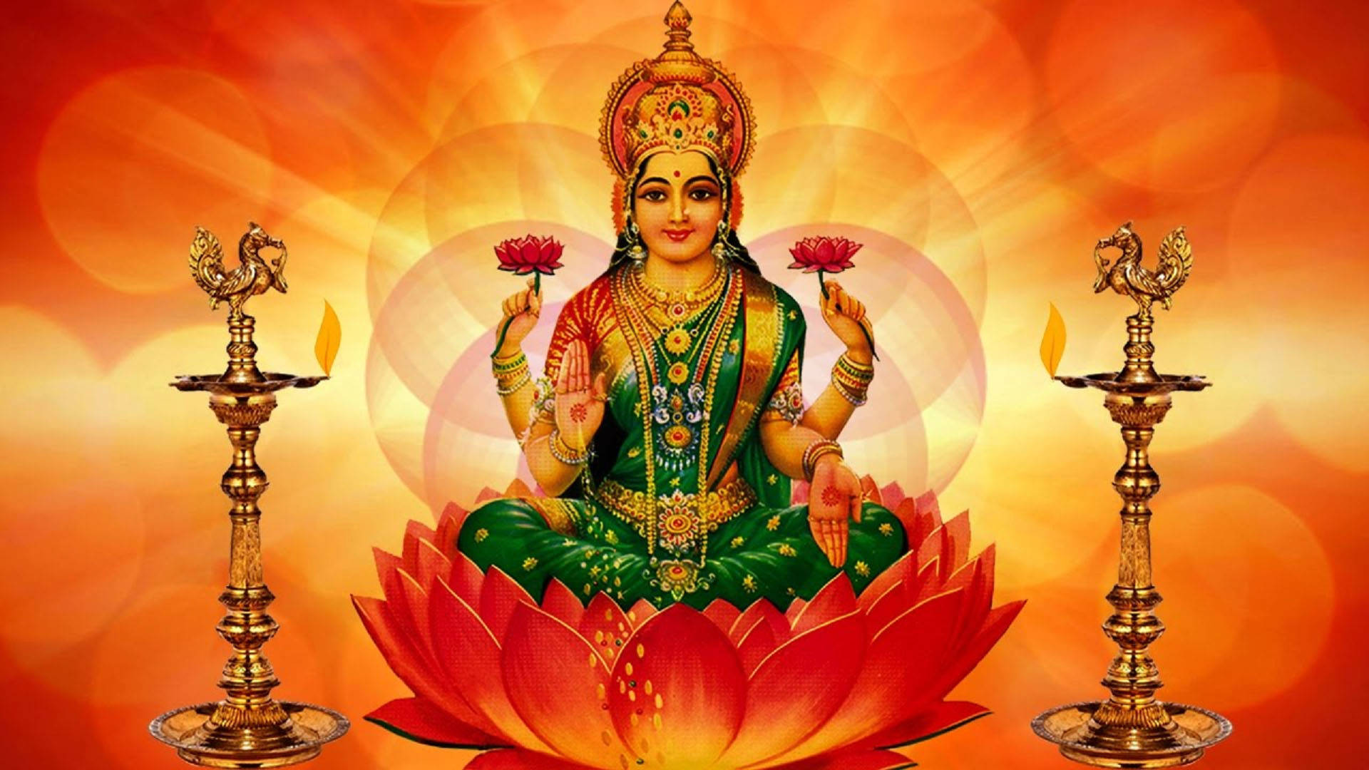 Lakshmi Rødoransje Lotus Bakgrunner