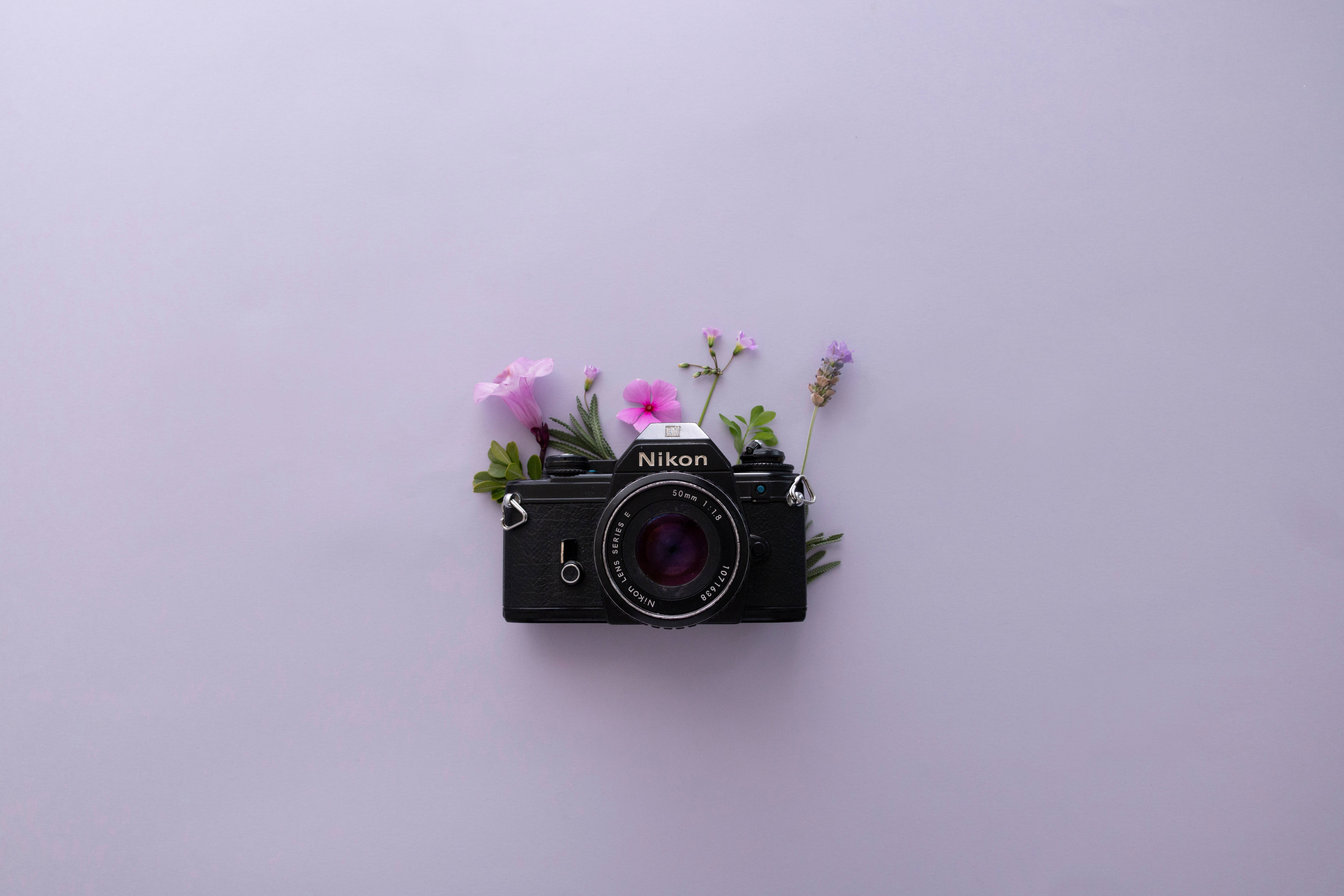 Lavendelestetikk og Nikon-kamera Bakgrunner
