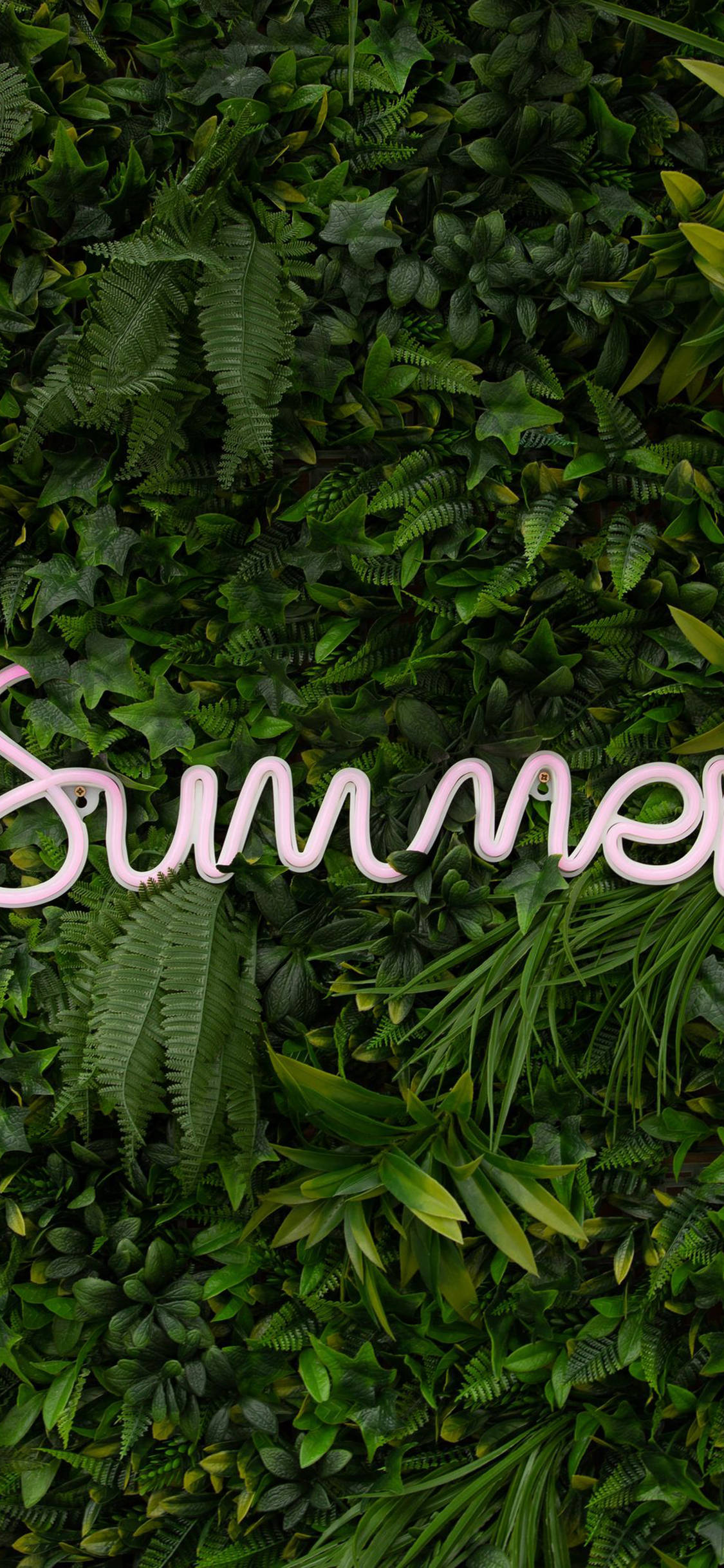 LED Sommer iPhone Grønn Bakgrunner