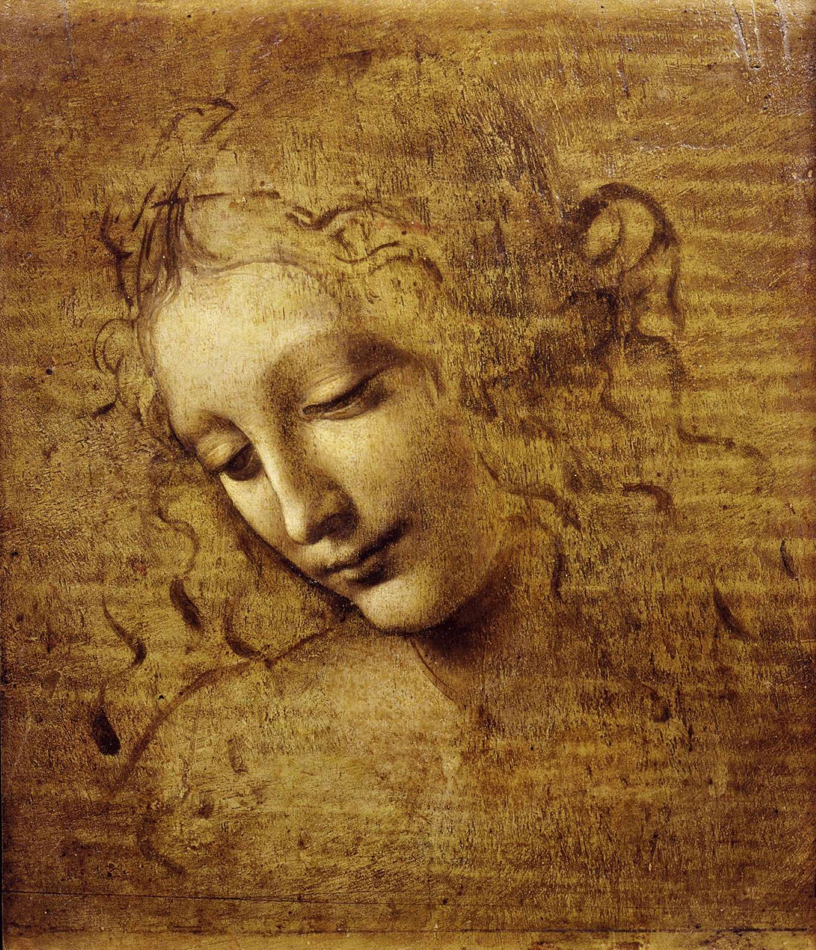 Leonardo Da Vinci Kvinnehode Maleri Bakgrunner