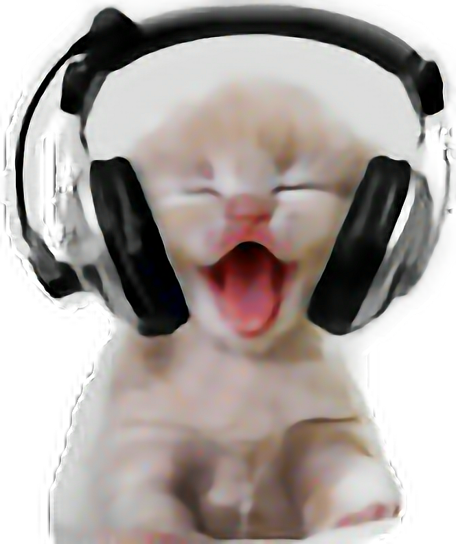Lerende katt med hodetelefoner.PNG Bakgrunner