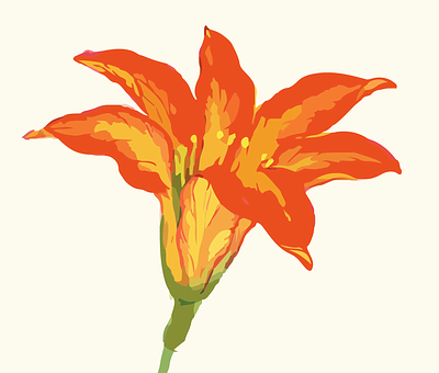 Levende oransje blomsterillustrasjon