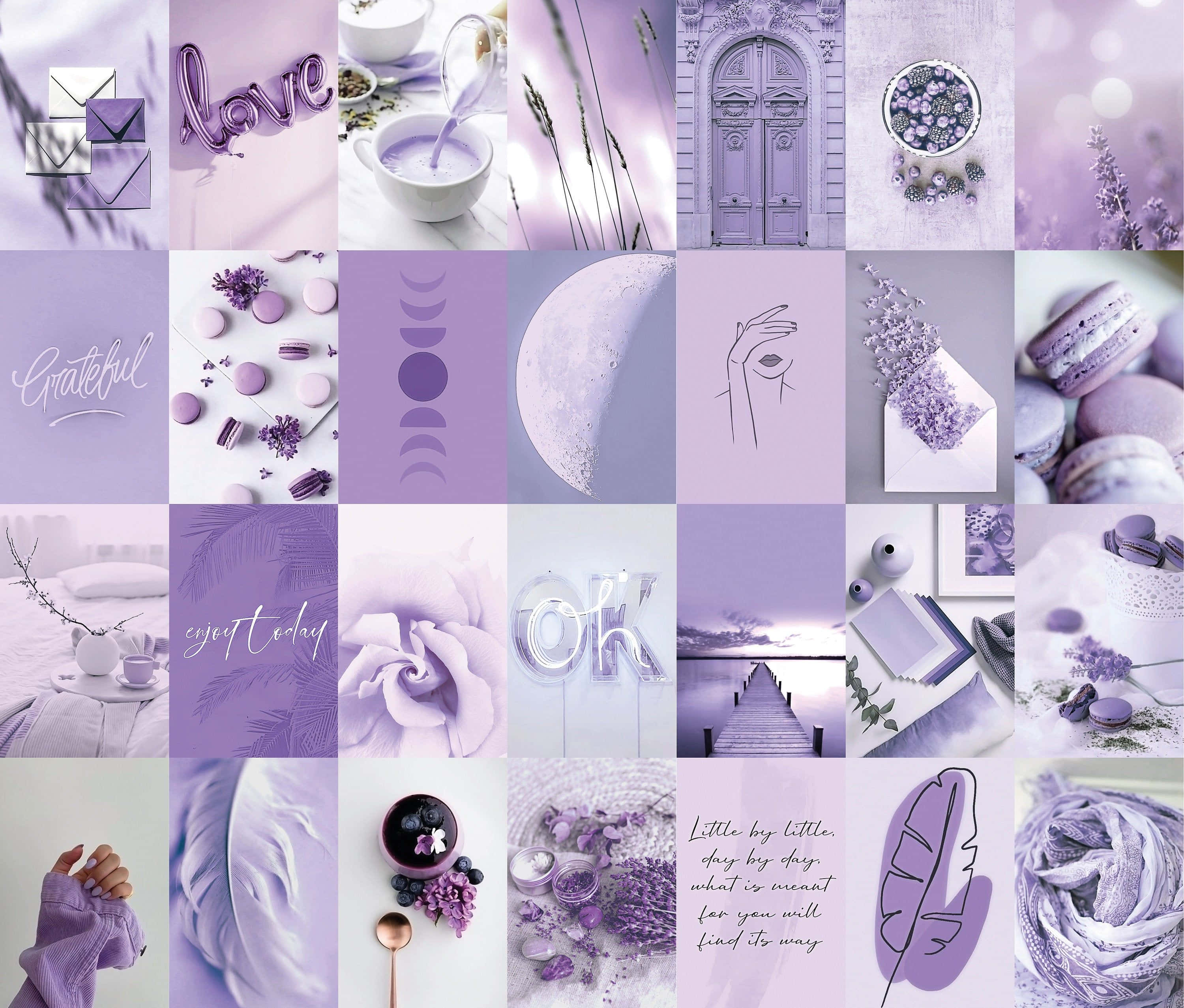 Lilla estetisk collage myk lavendel Bakgrunner