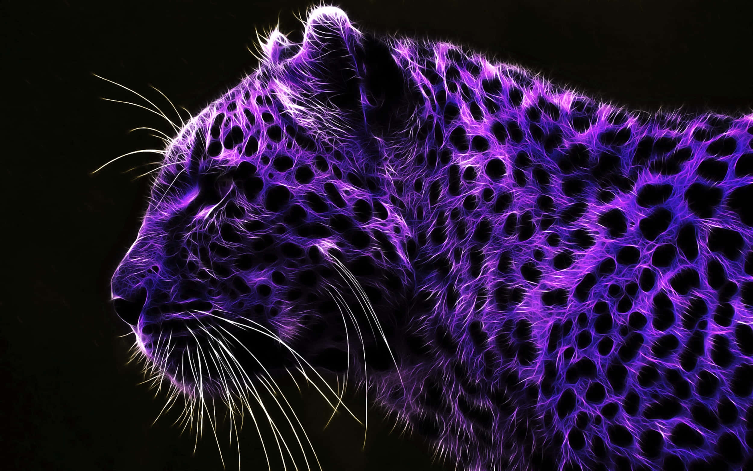Lilla landskap kul jungelleopard Bakgrunner
