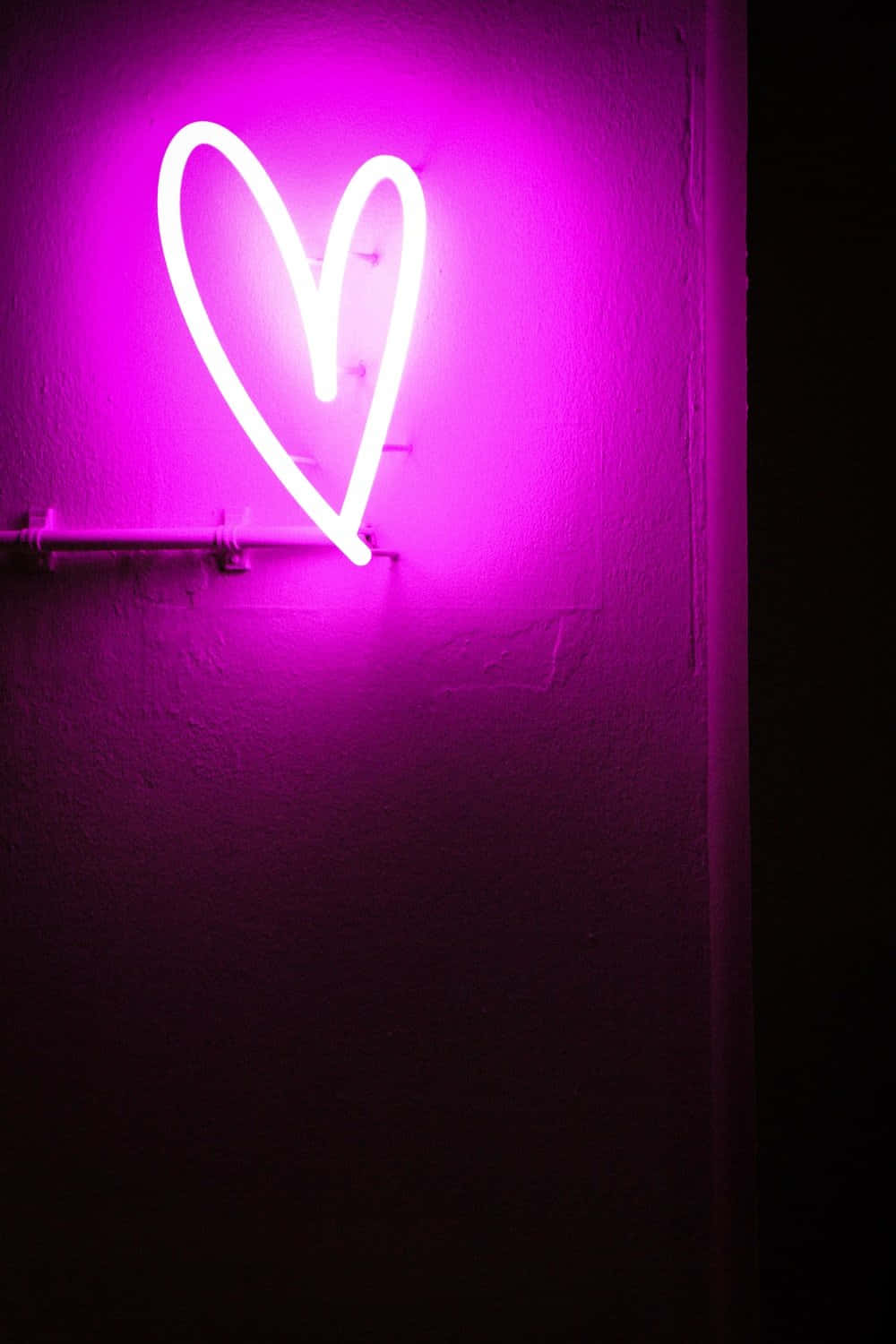Lilla LED-neonhjerte portrettbilde Bakgrunner