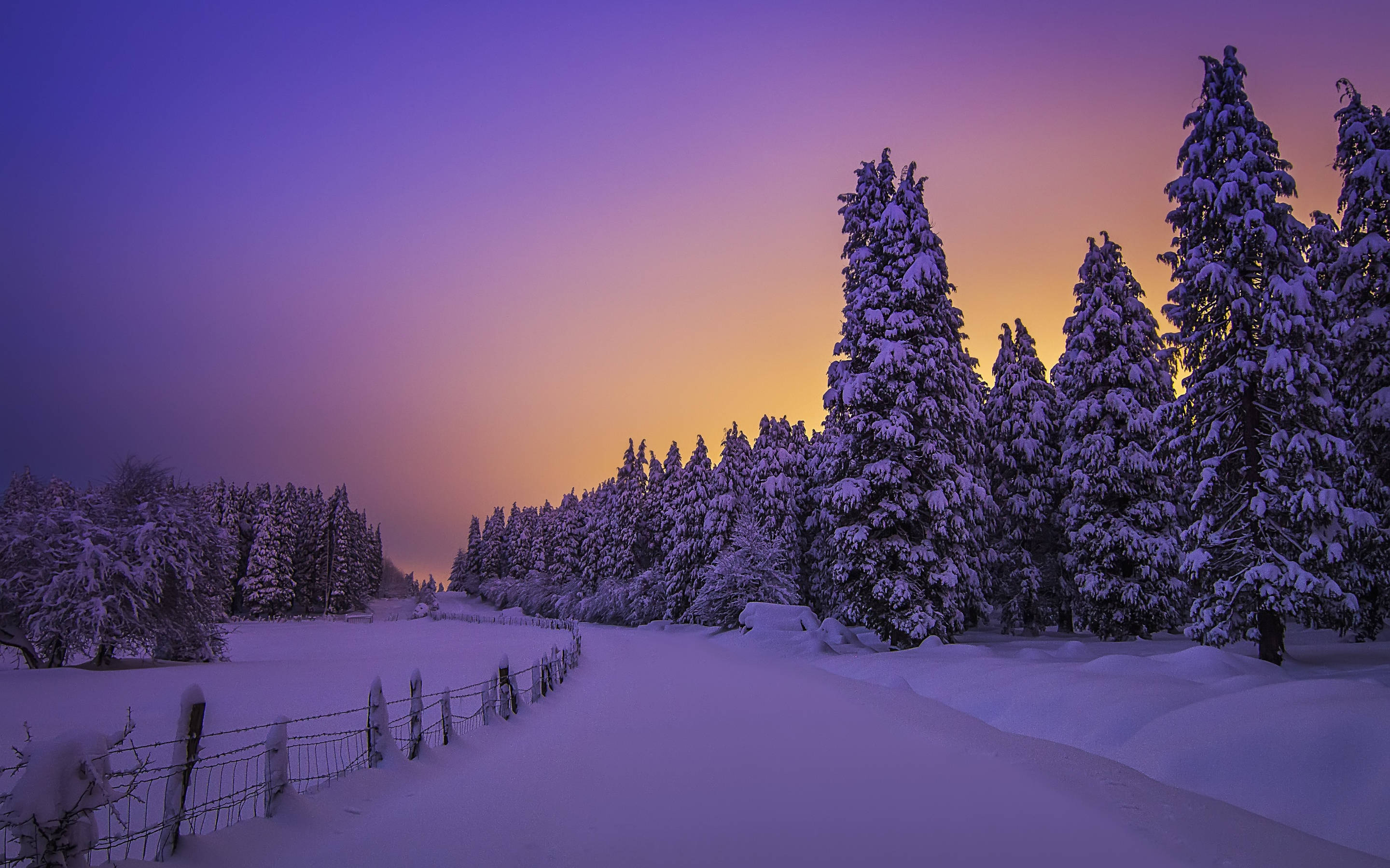 Lilla solnedgang vinterestetikk Bakgrunner