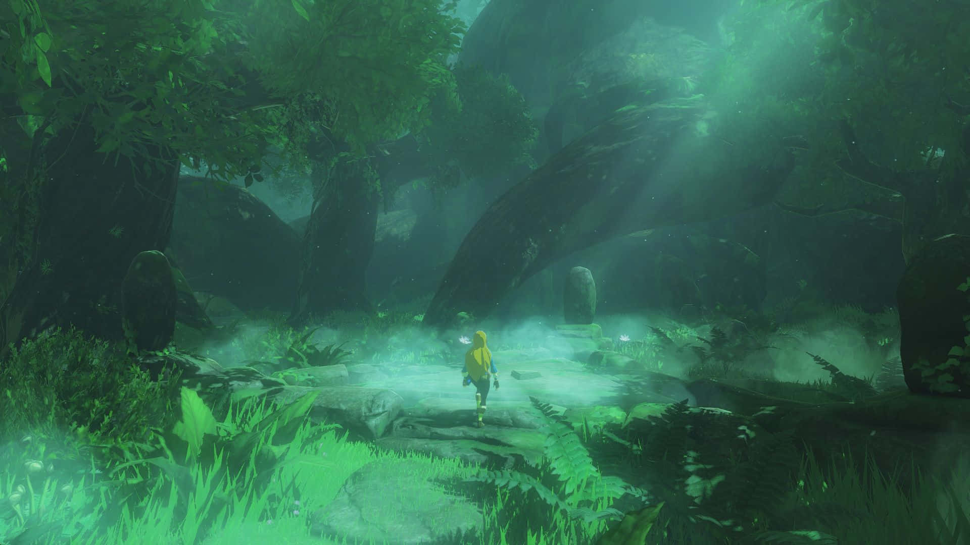 Link på reise gjennom The Legend of Zelda-verdenen Bakgrunner