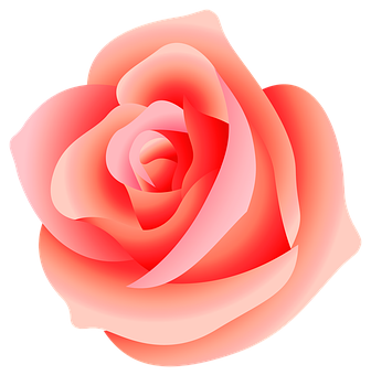 Livlig rosa rosegrafikk Bakgrunner