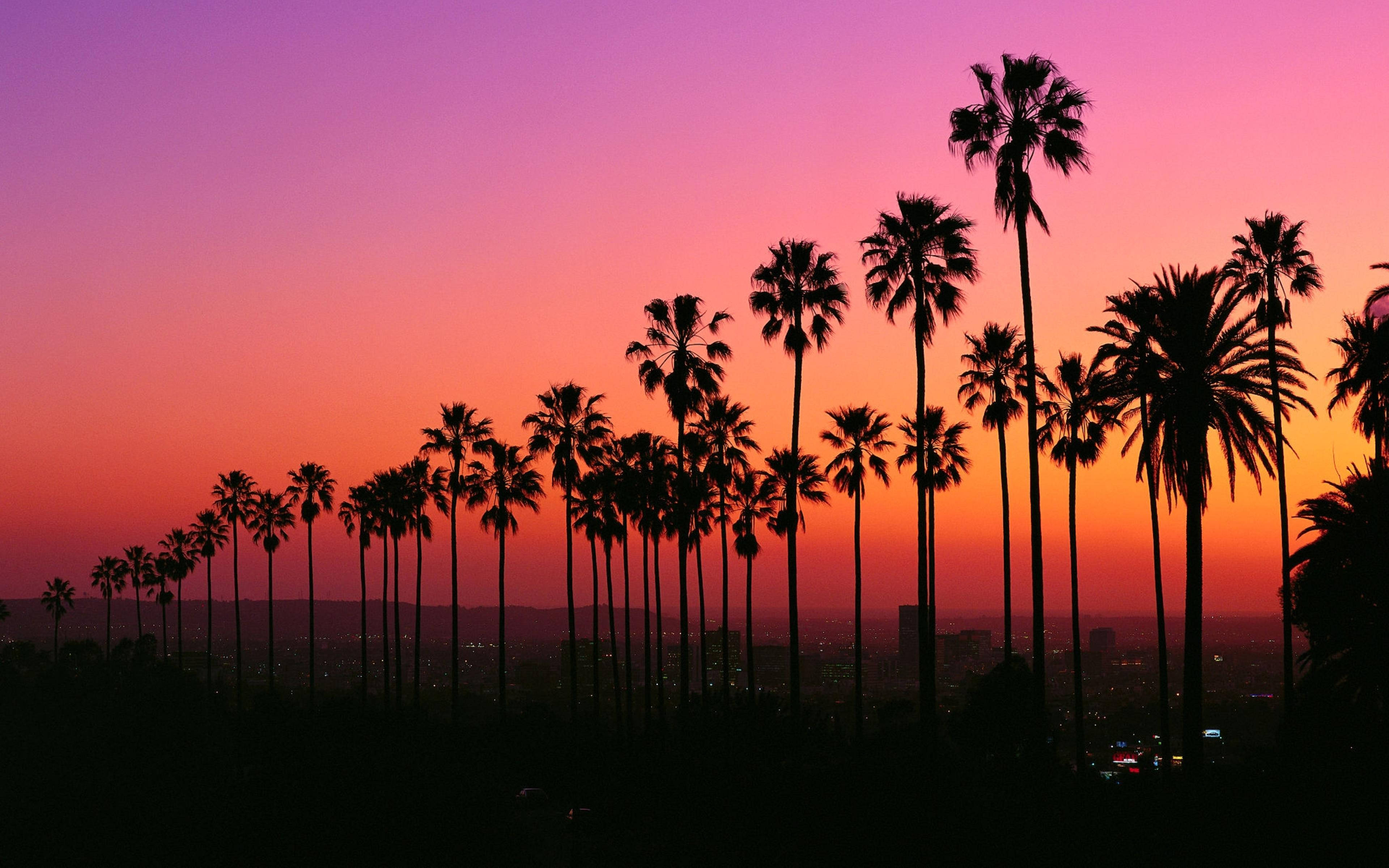 Livlig solnedgang i Los Angeles Bakgrunner