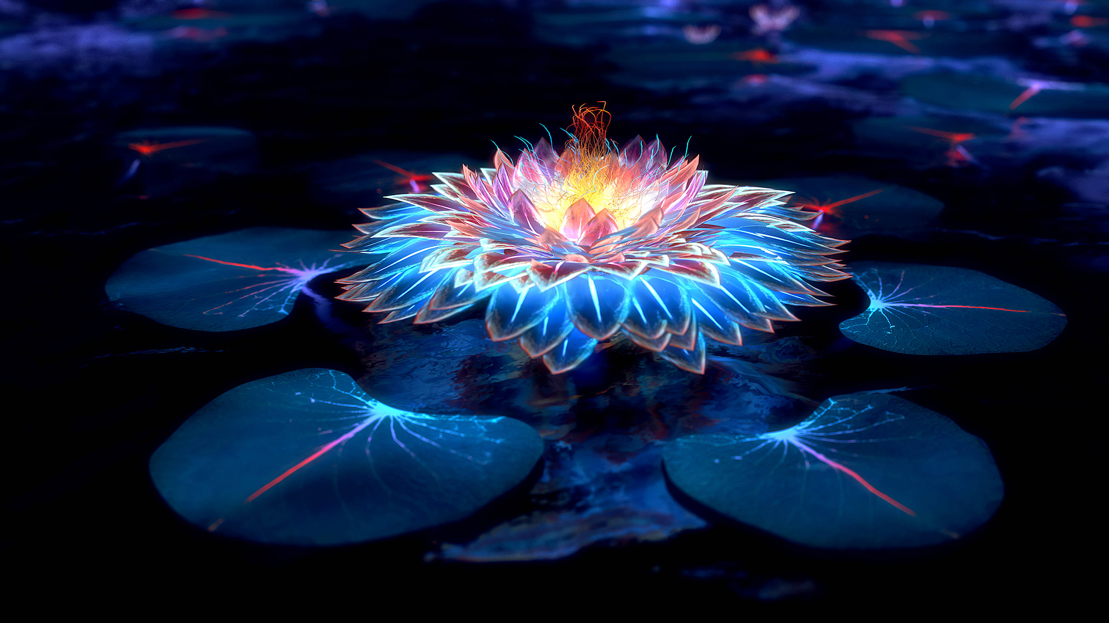 Lotus og lys i mørket Bakgrunner