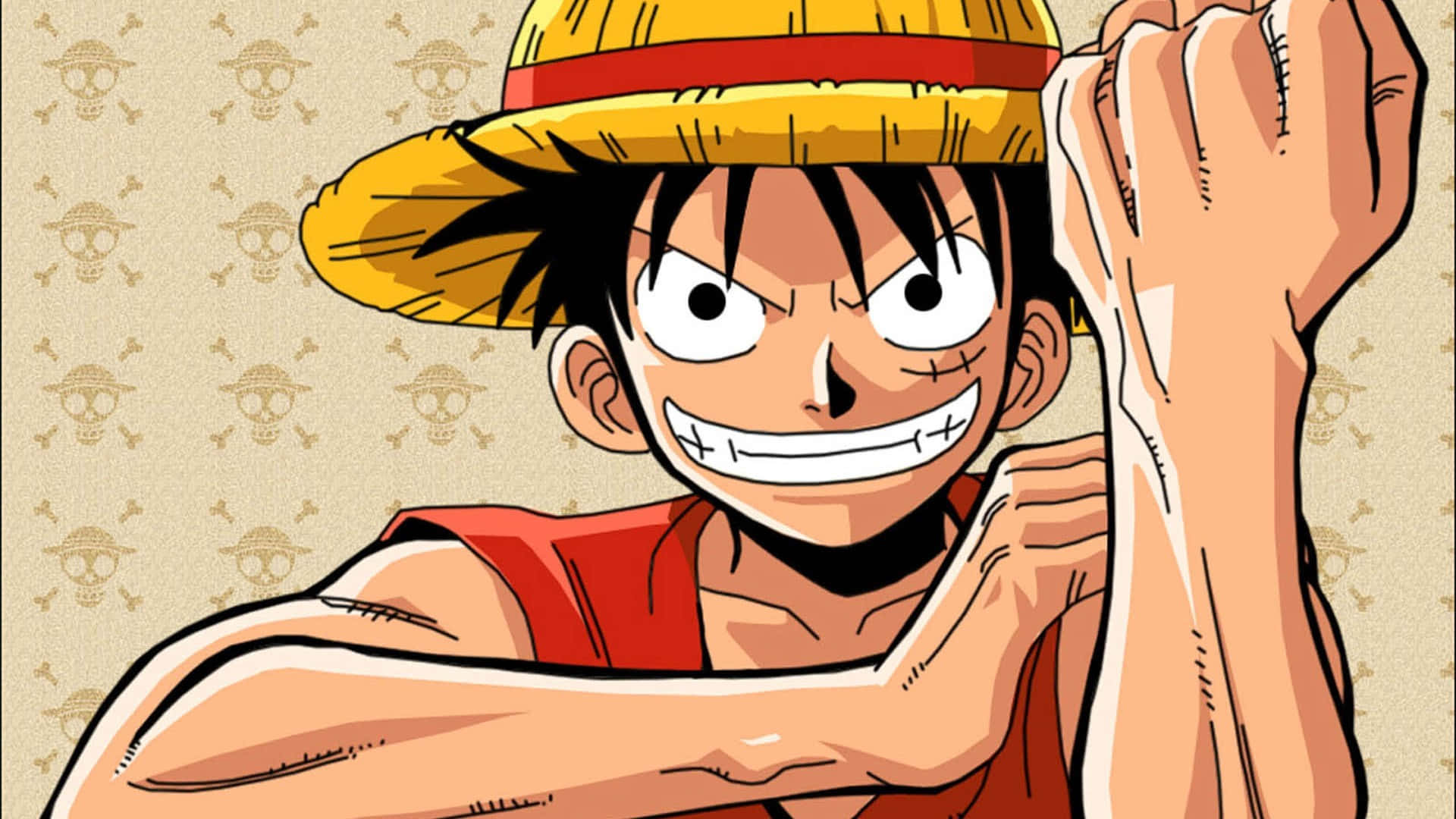 Luffy blir Piratkongen Bakgrunner