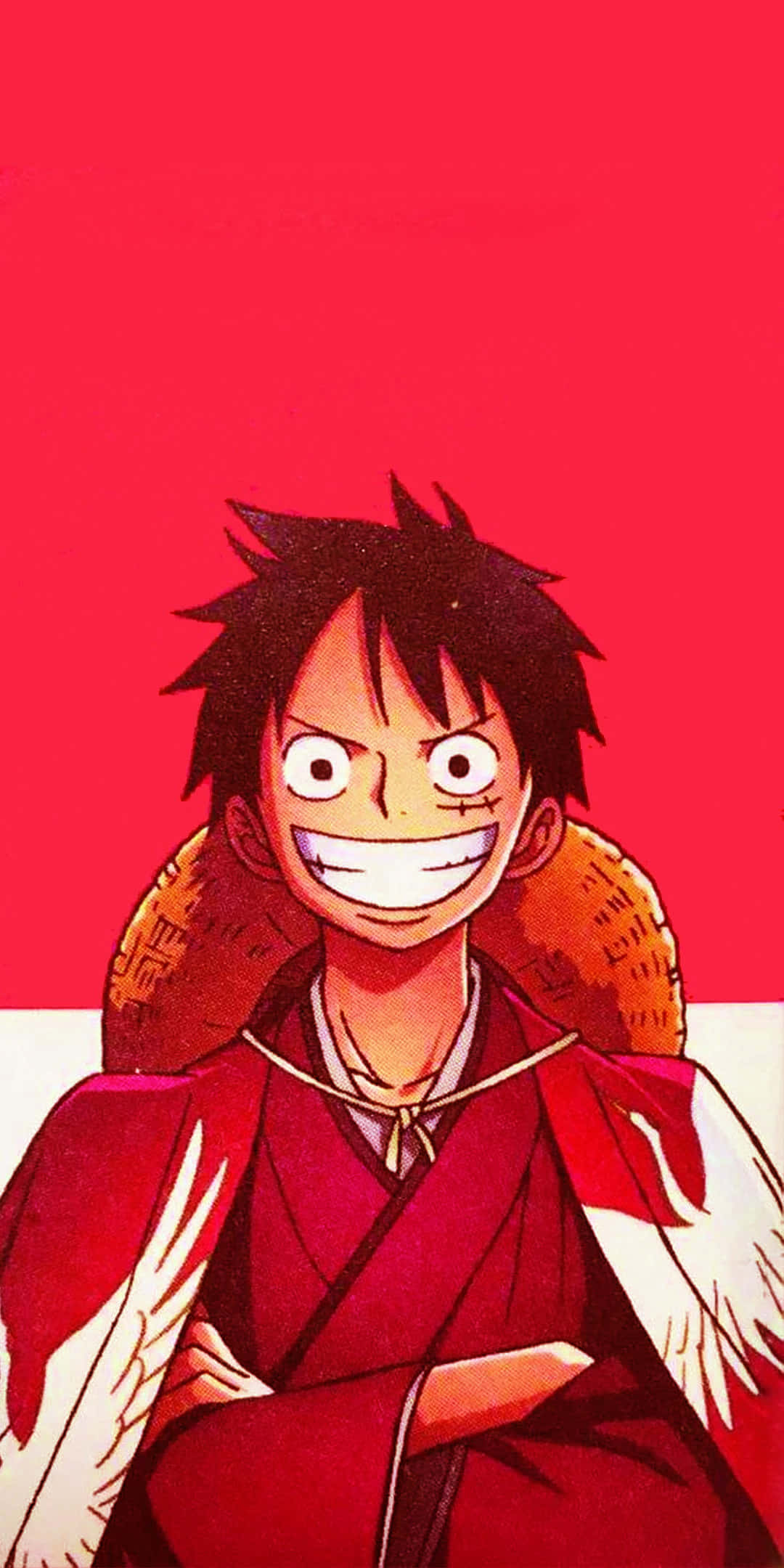 Luffy, den dristige piraten! Bakgrunner