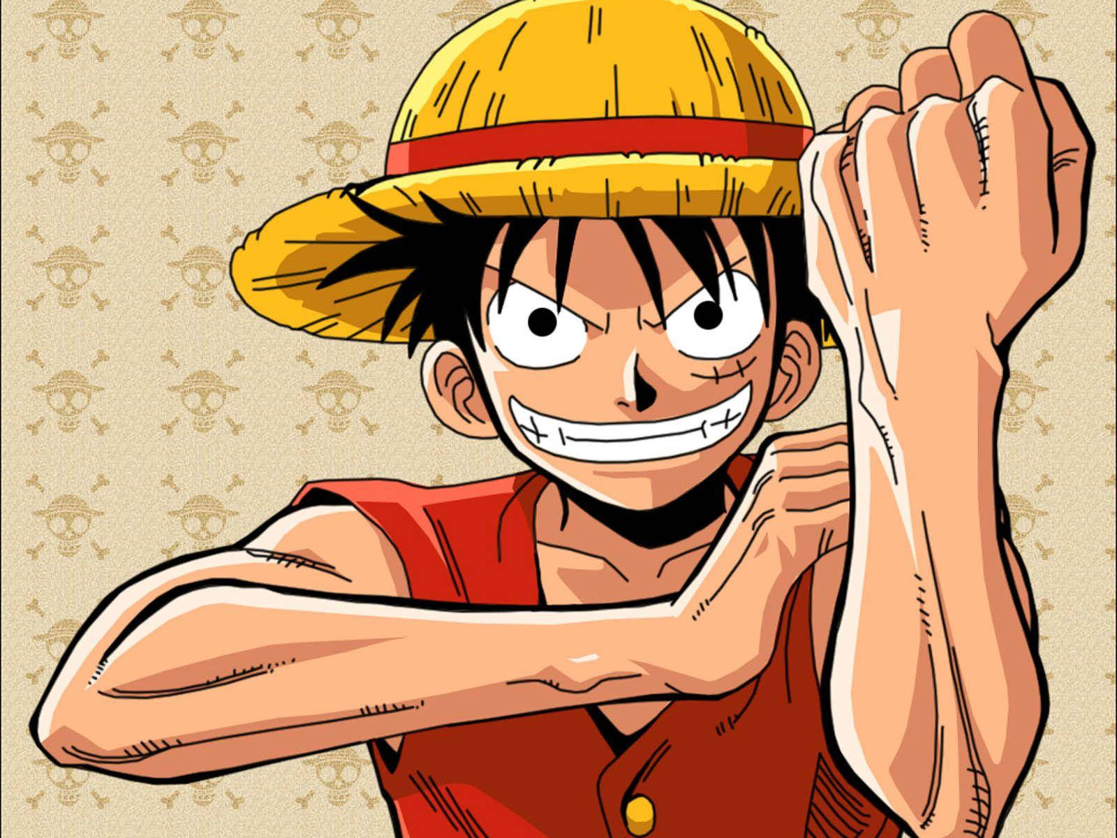 Luffy Kampmodus