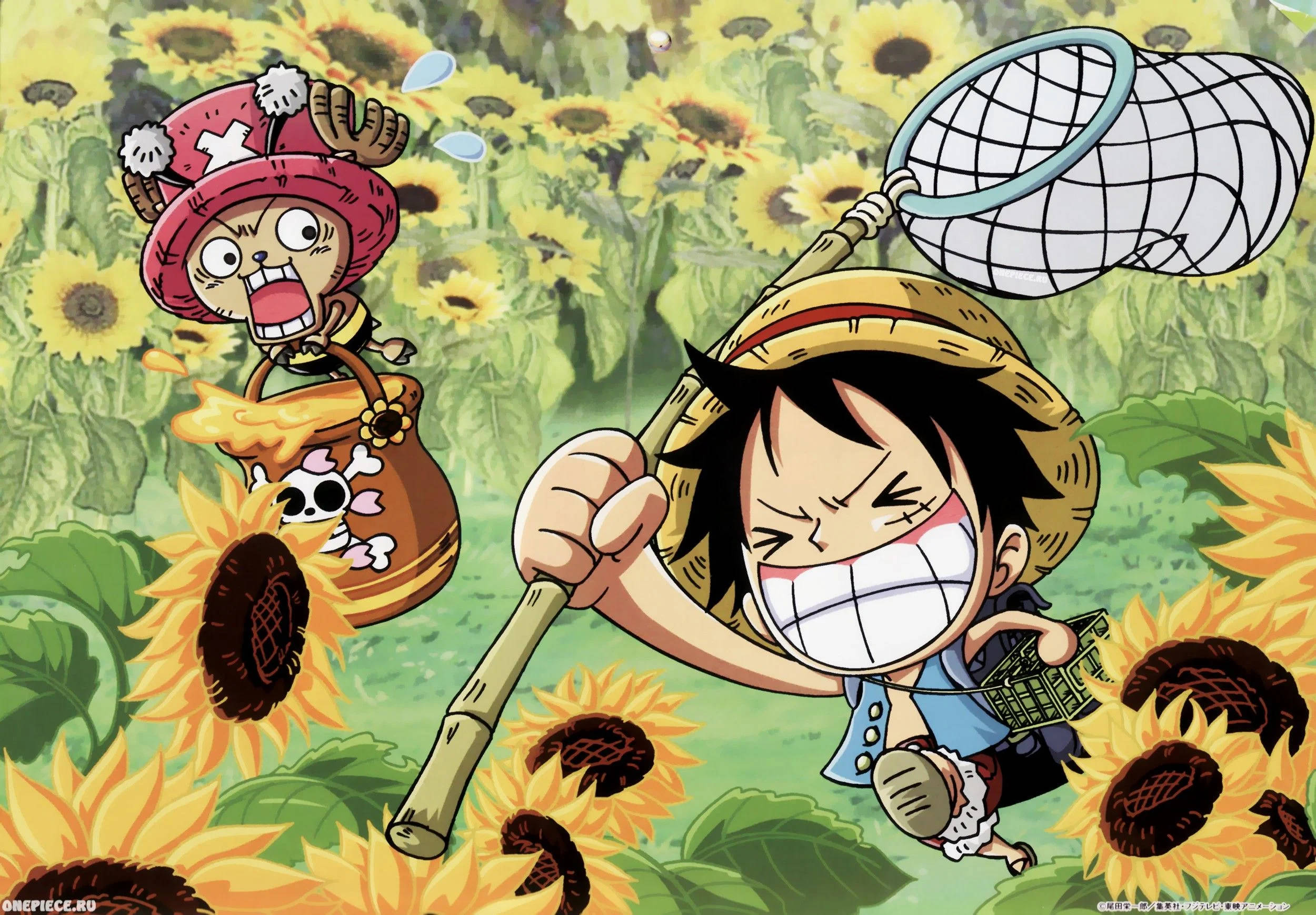 Luffy og Chopper Morsom Anime Bakgrunner