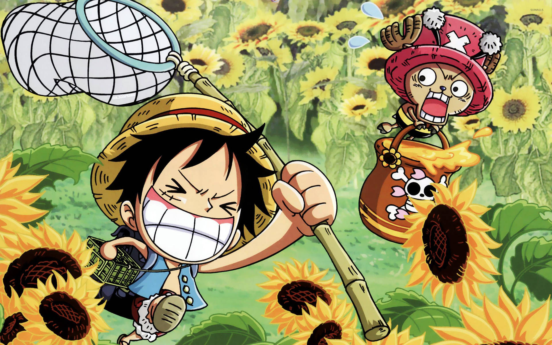 One Piece Luffy og Chopper i et solsikkefelt bakgrunnsbilde.