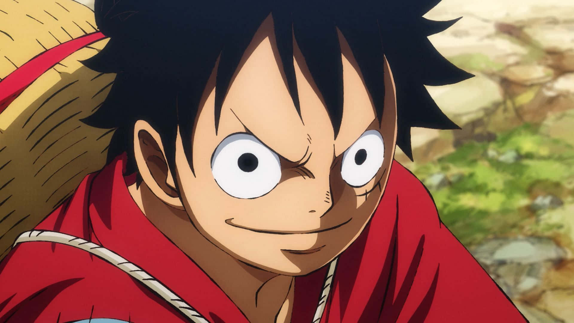 Luffy, Piratkongen! Bakgrunner