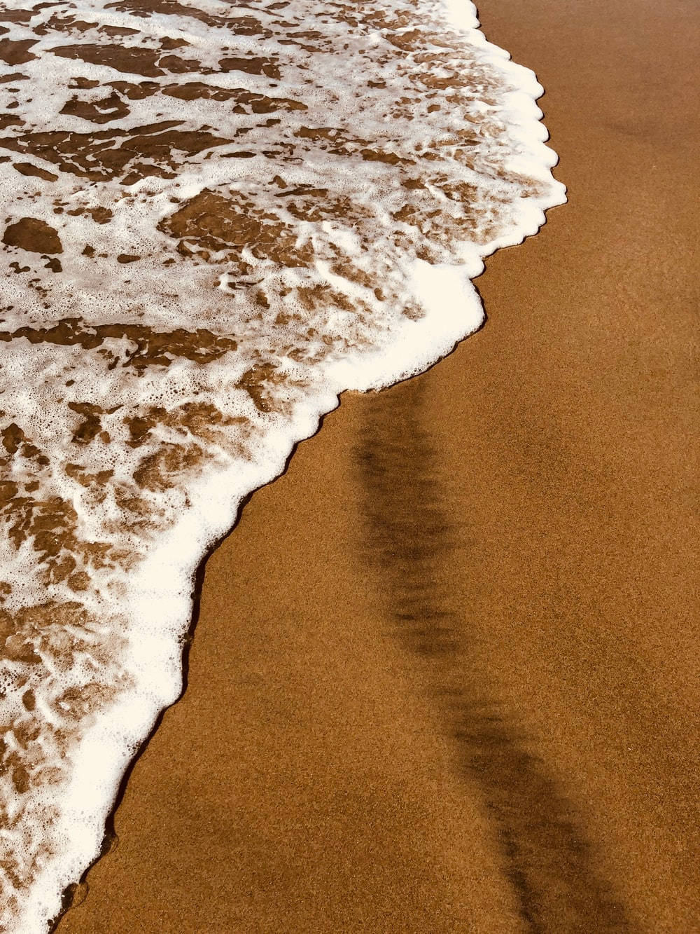 Lys brun estetisk strandkant Bakgrunner